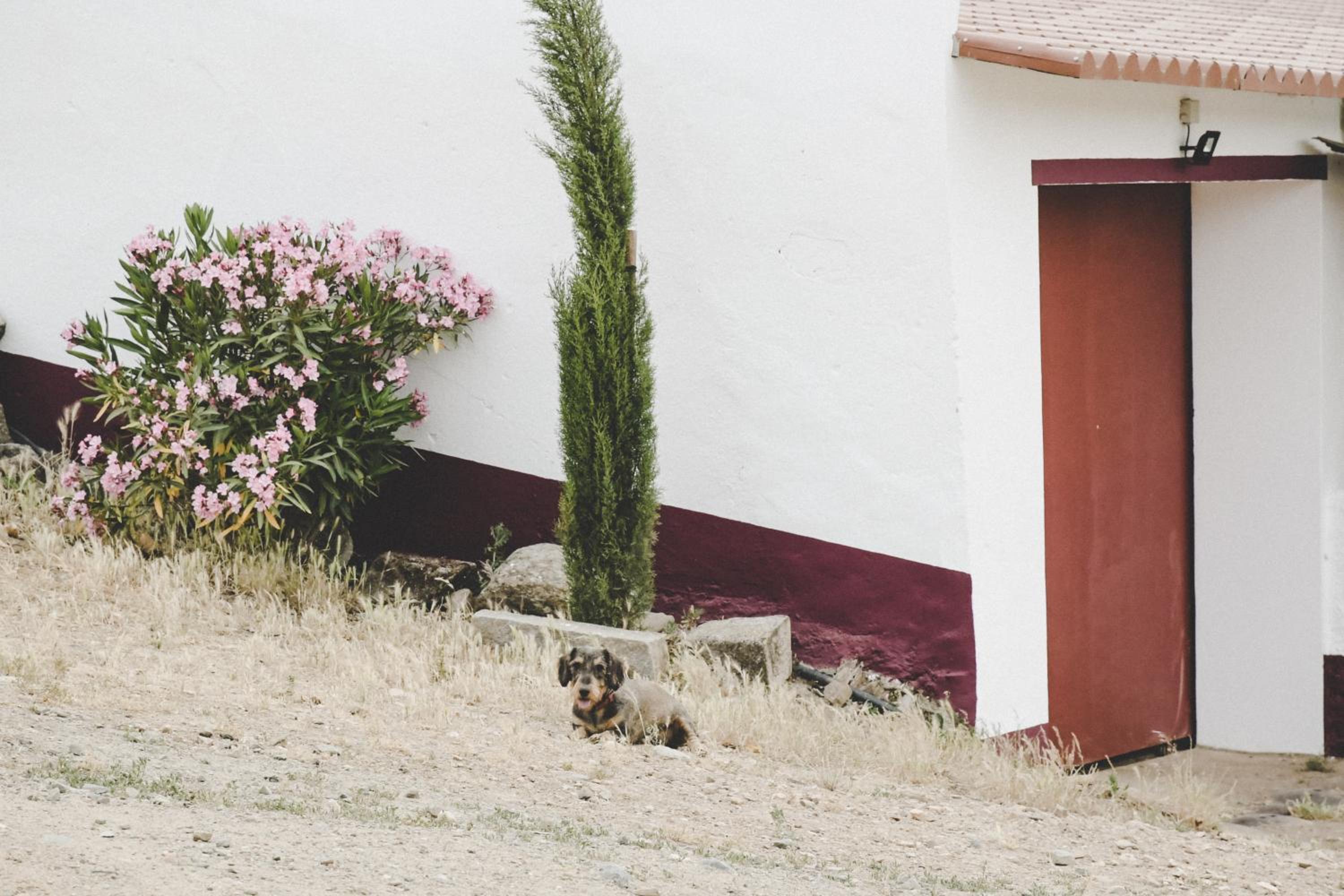 Casas da Faia - Nature Guest House