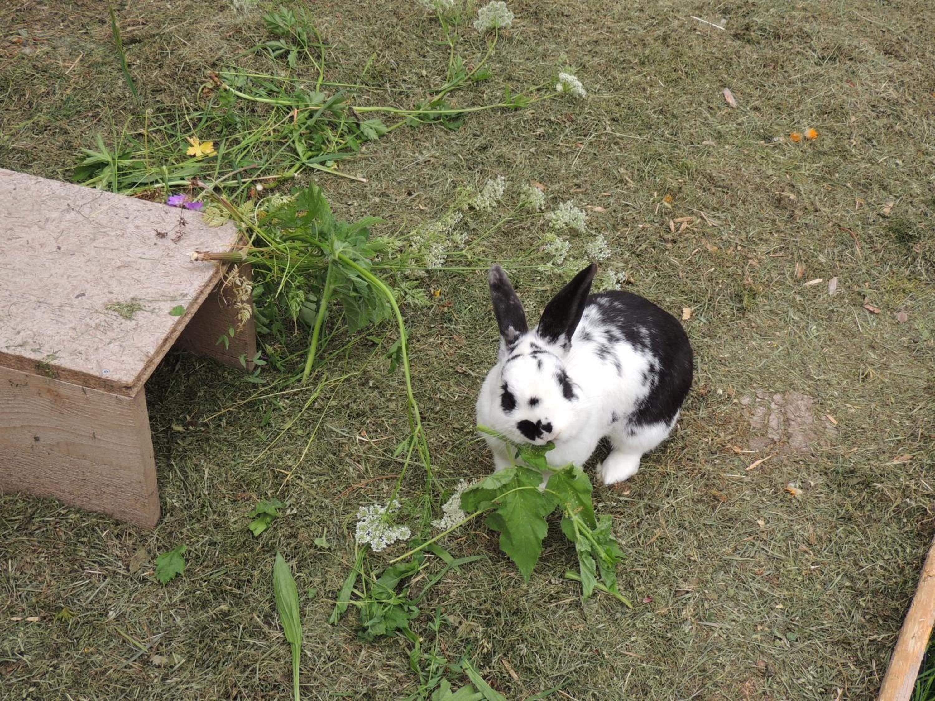 Photo 21