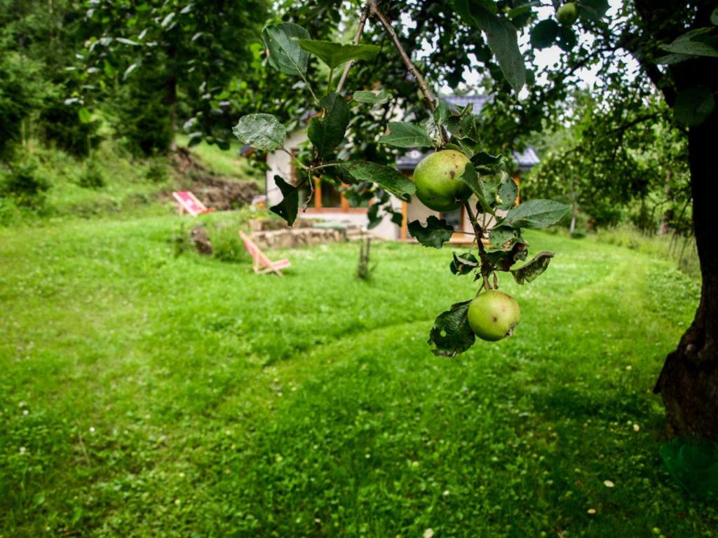 Pod Jabłonią view 4