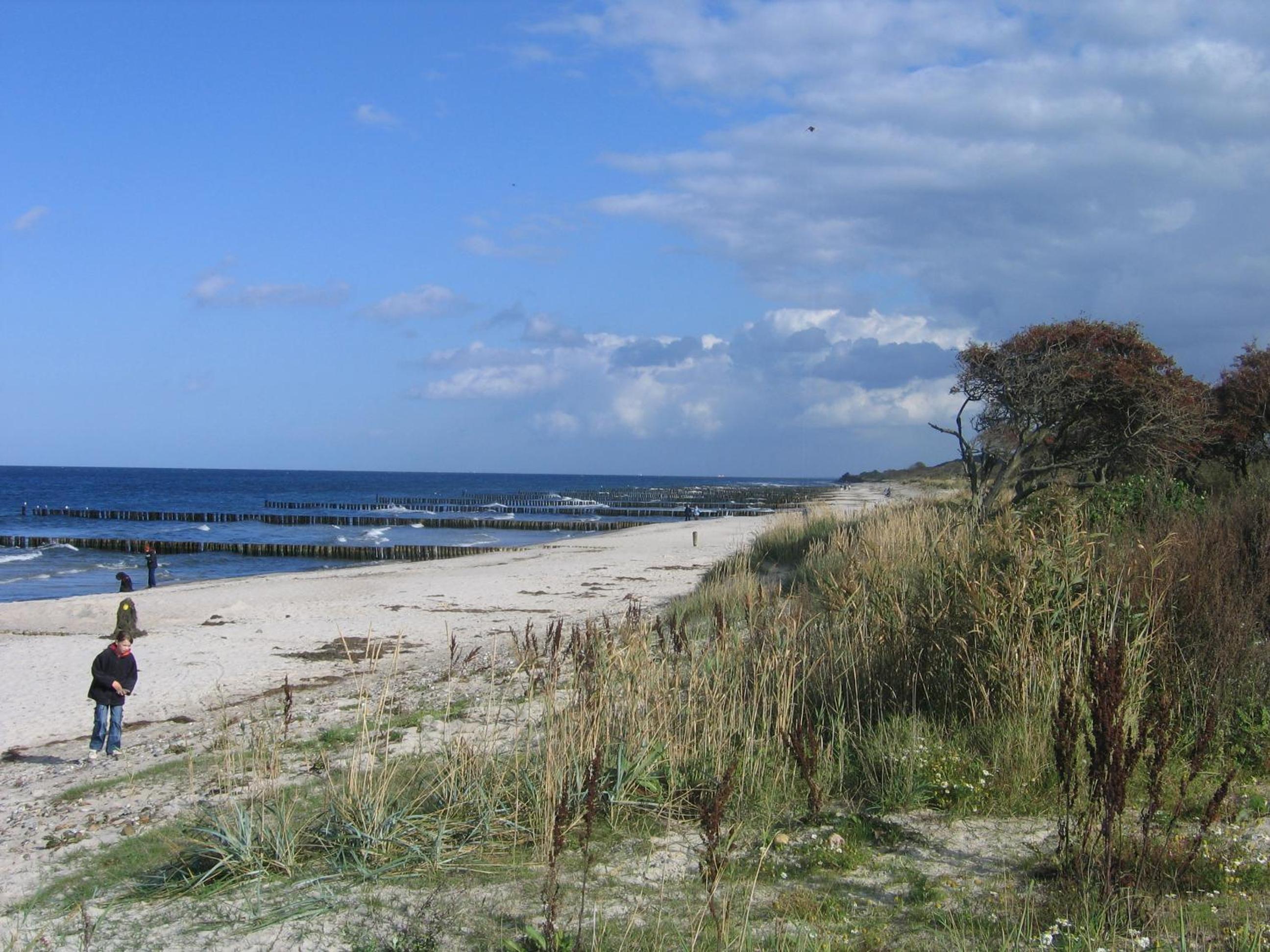 Strandgut