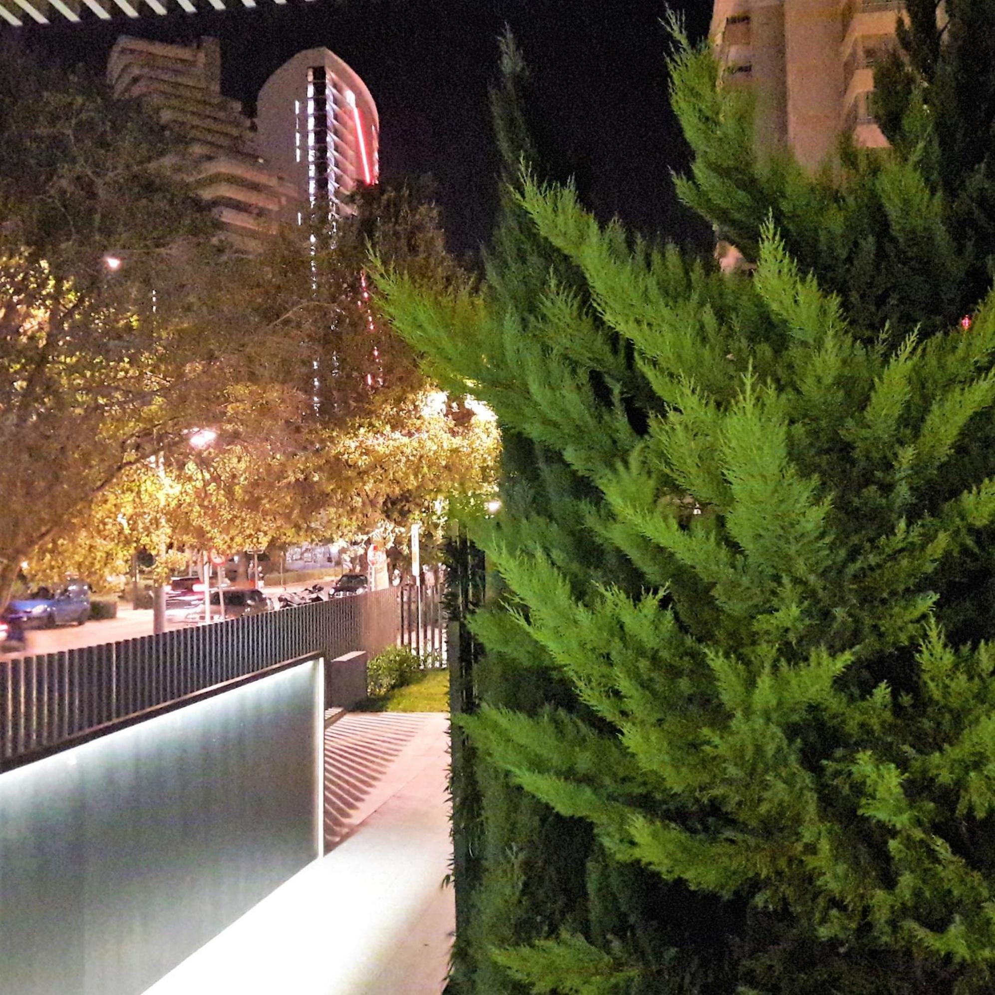 Mirador apart