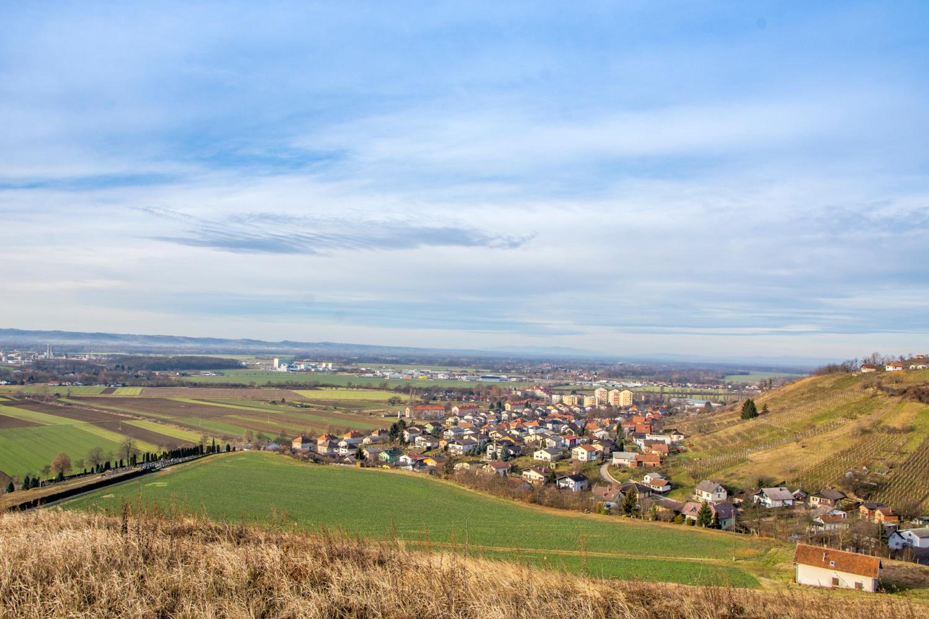 Vinska klet Smej, photo 14