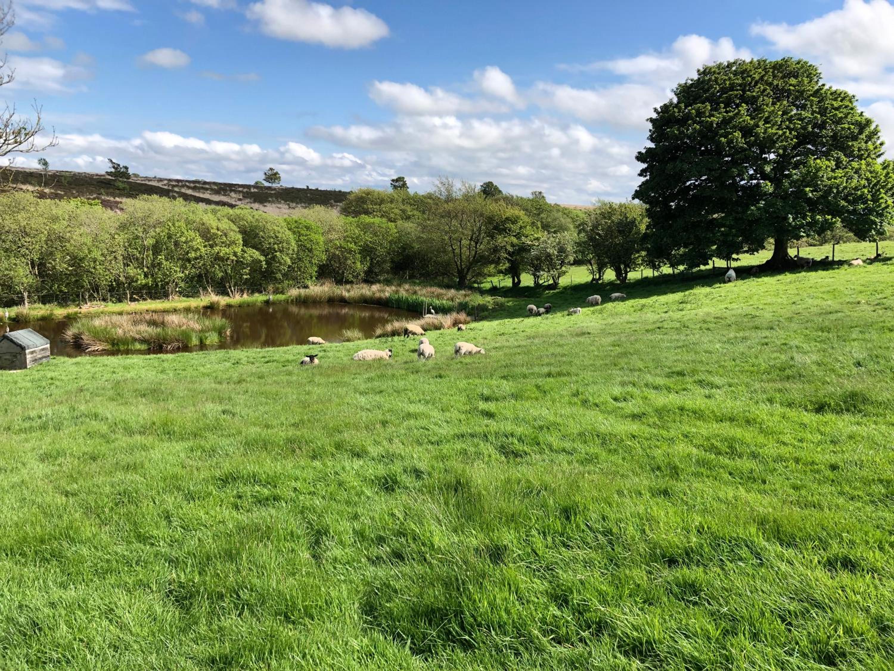 Folly Hall Farm