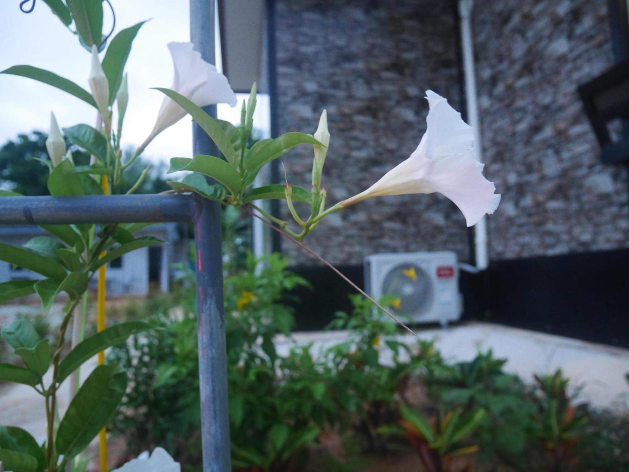 KORA-GREAT Airport Phuket