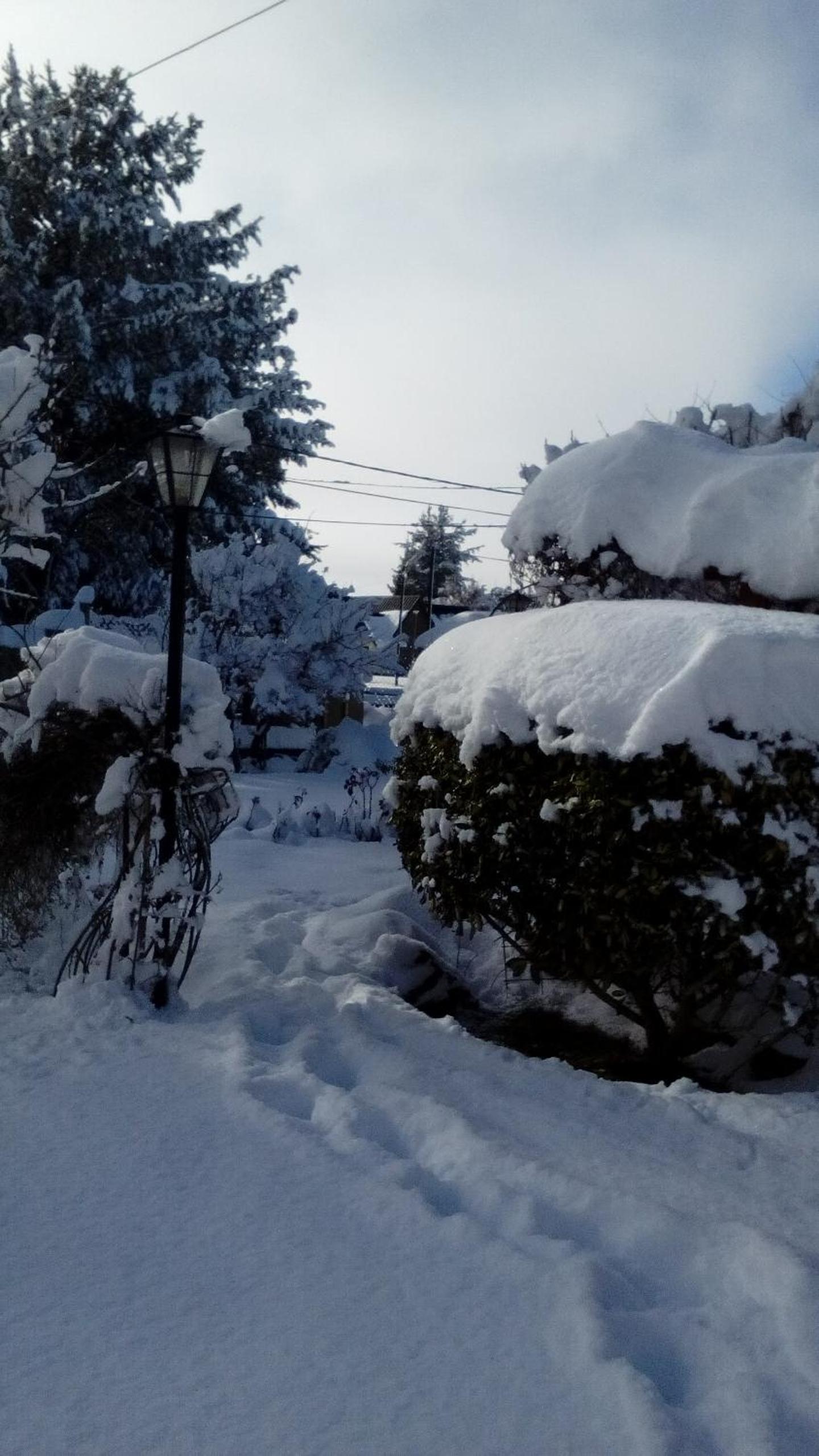 Montalto