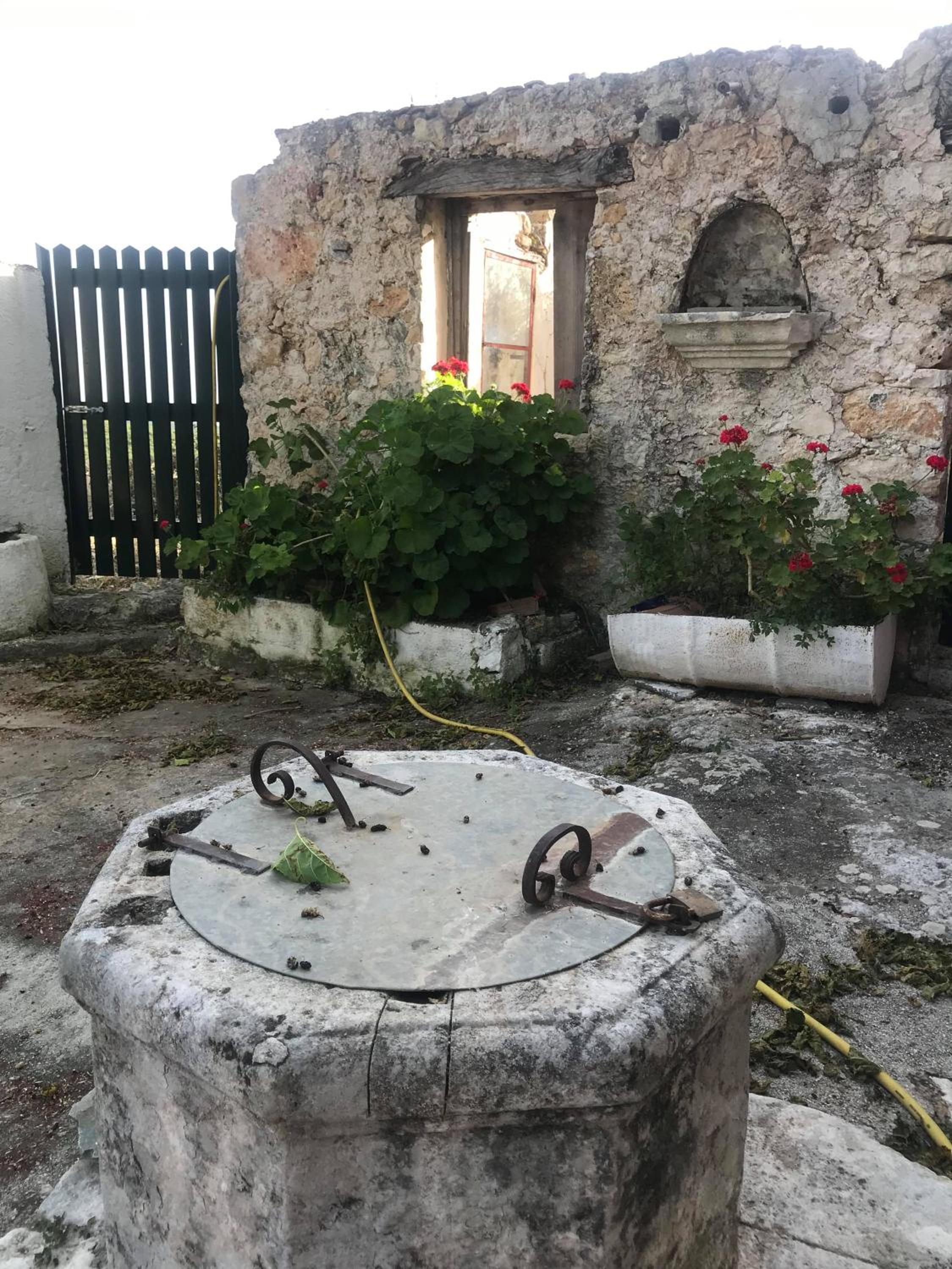 Photo 17