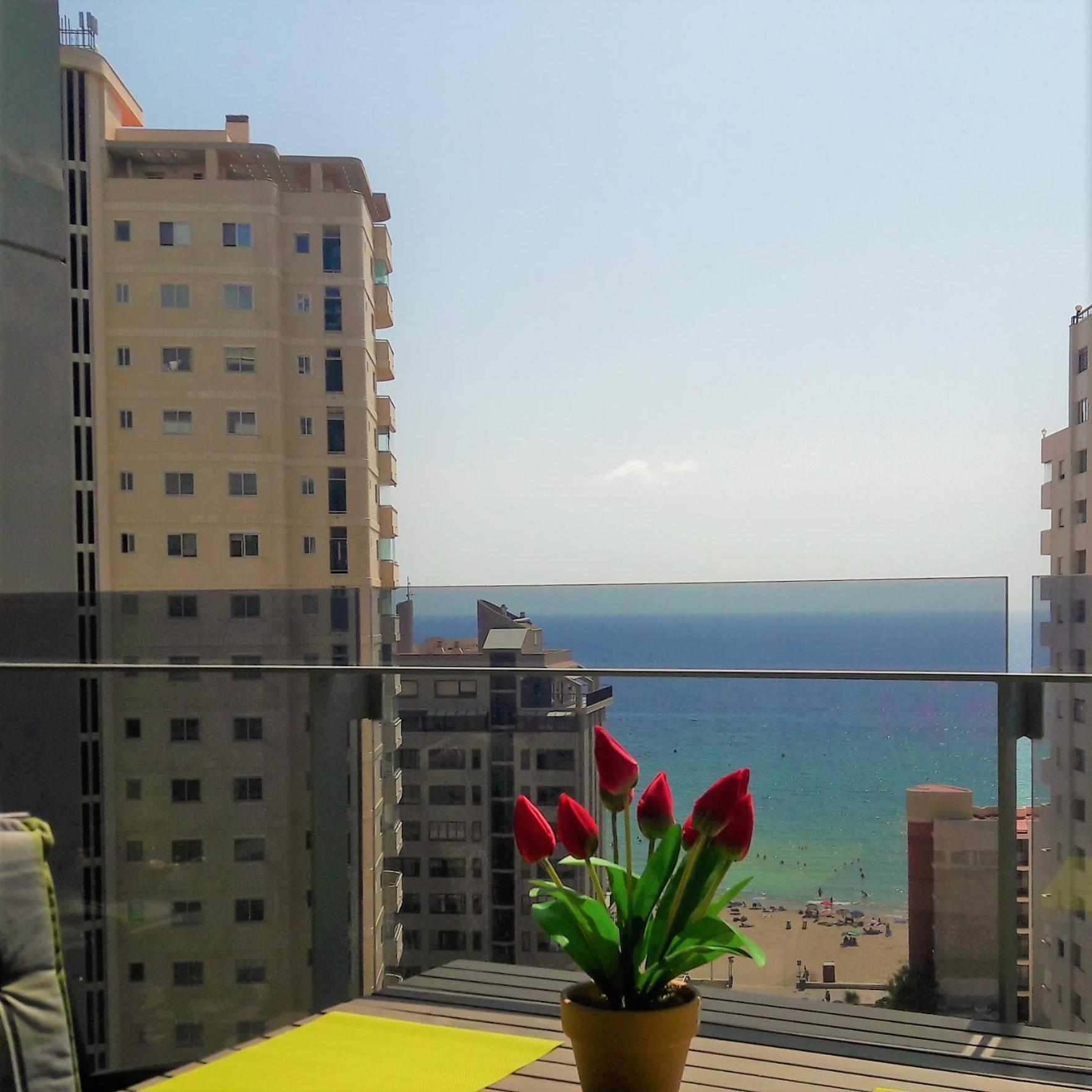 Mirador apart
