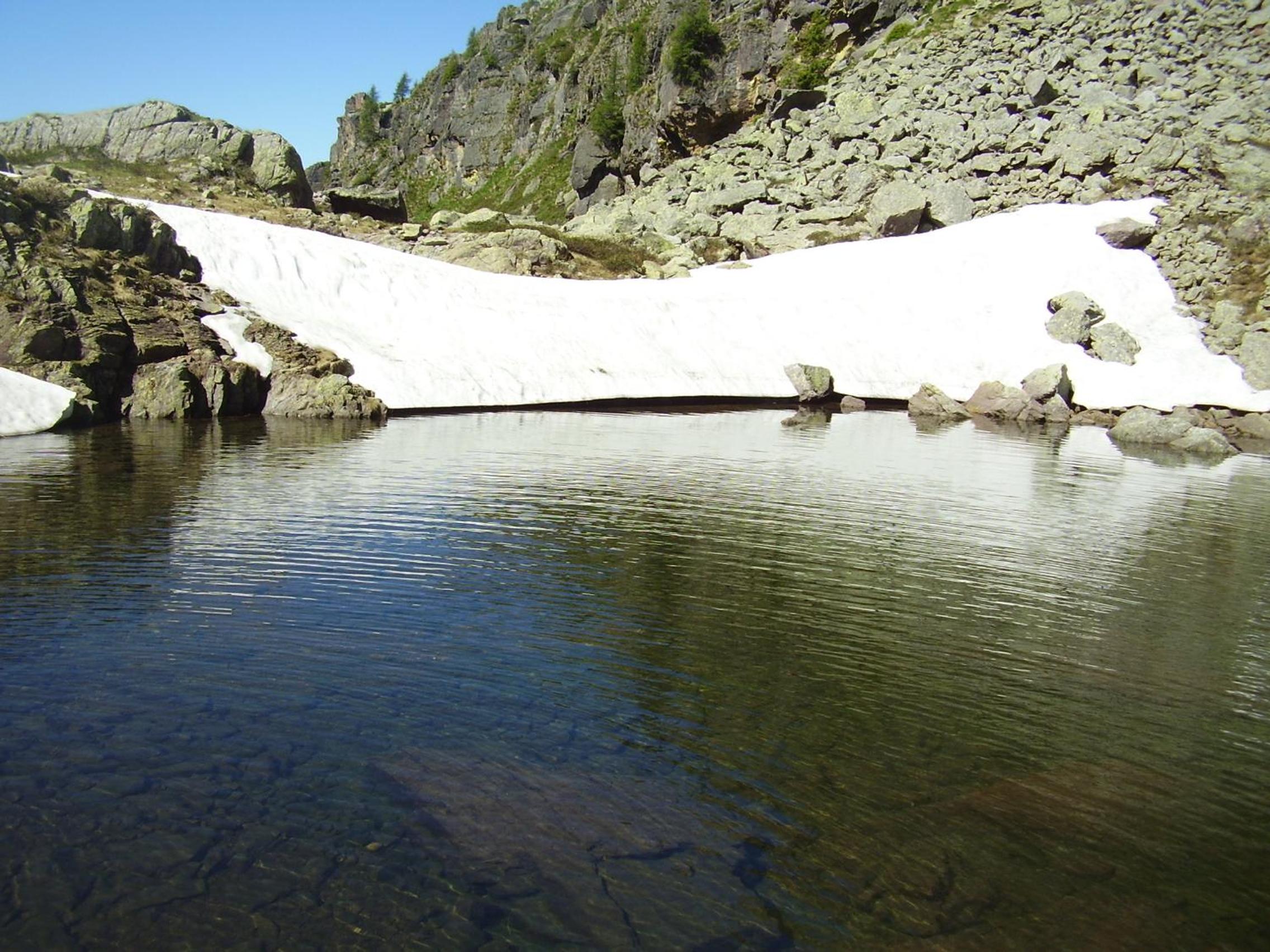 Photo 12