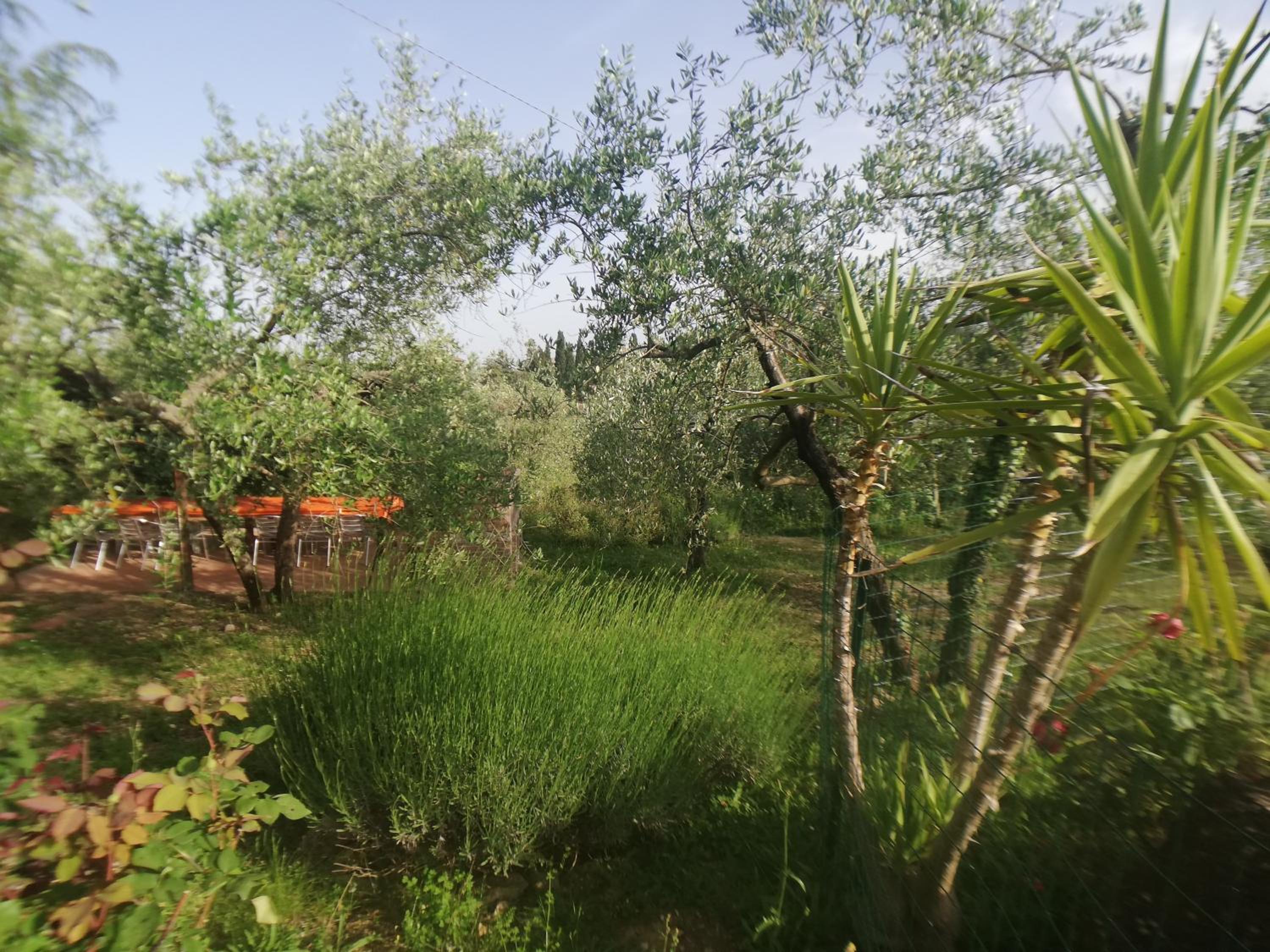 Agriturismo 