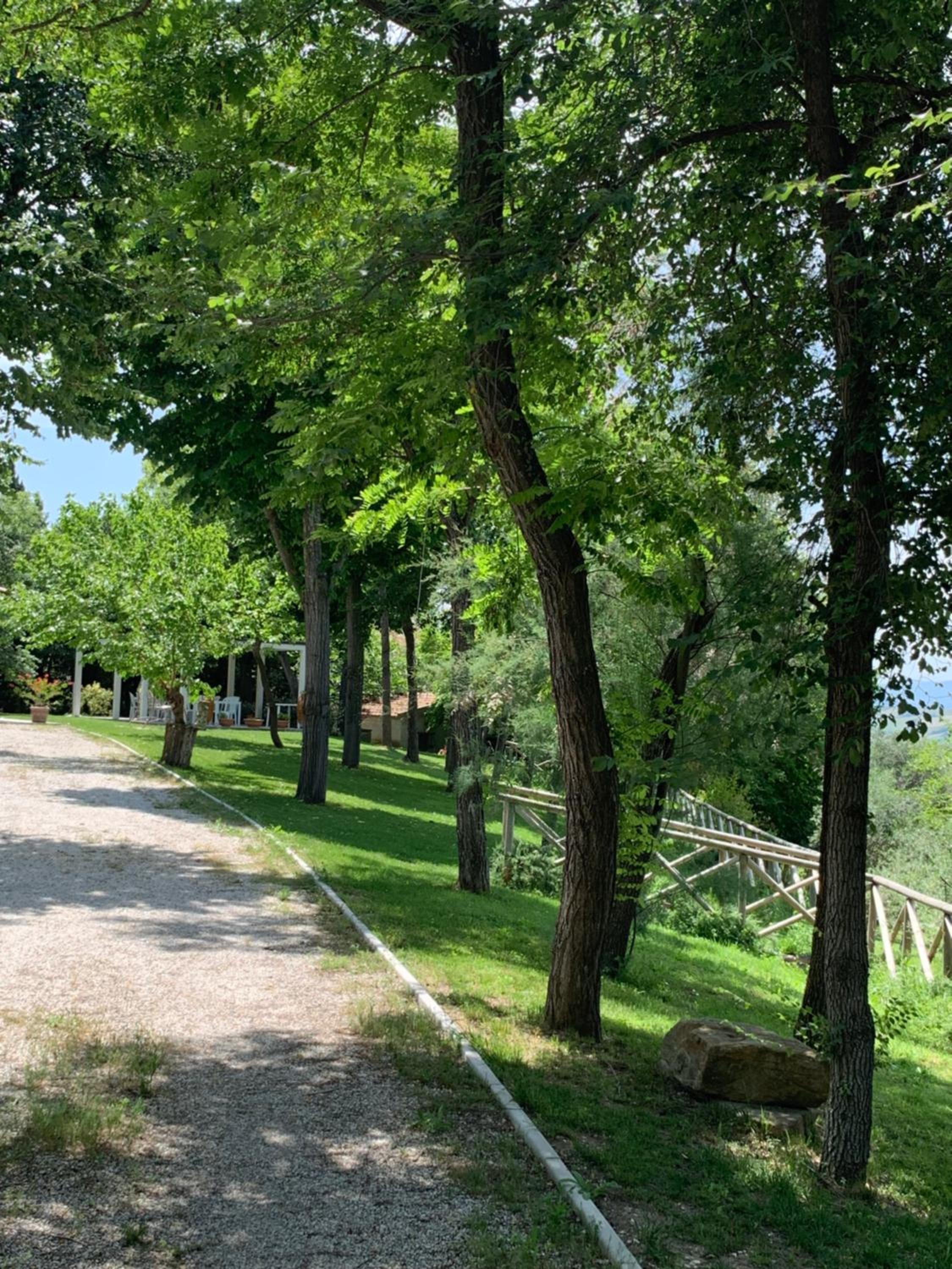Il Lauro