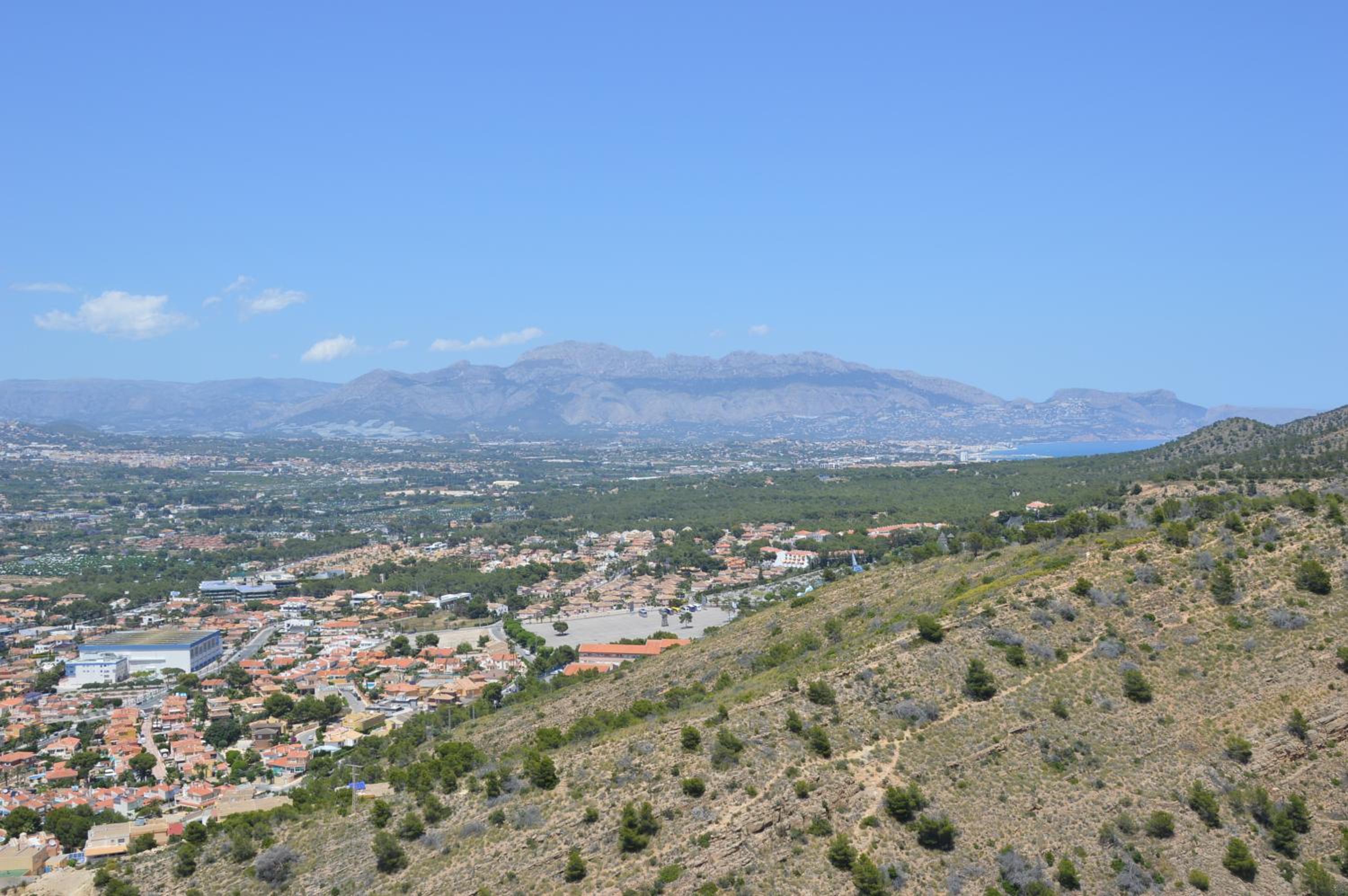 Photo 45