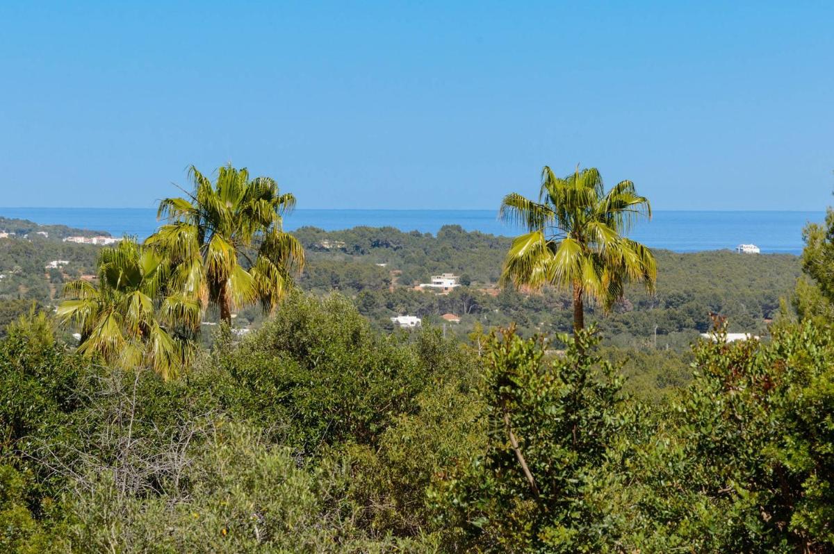 Finca Niko