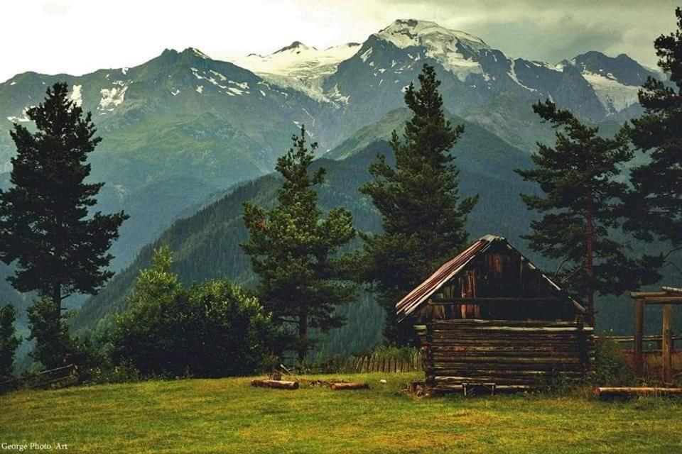 Heshkili huts and cabins Svaneti
