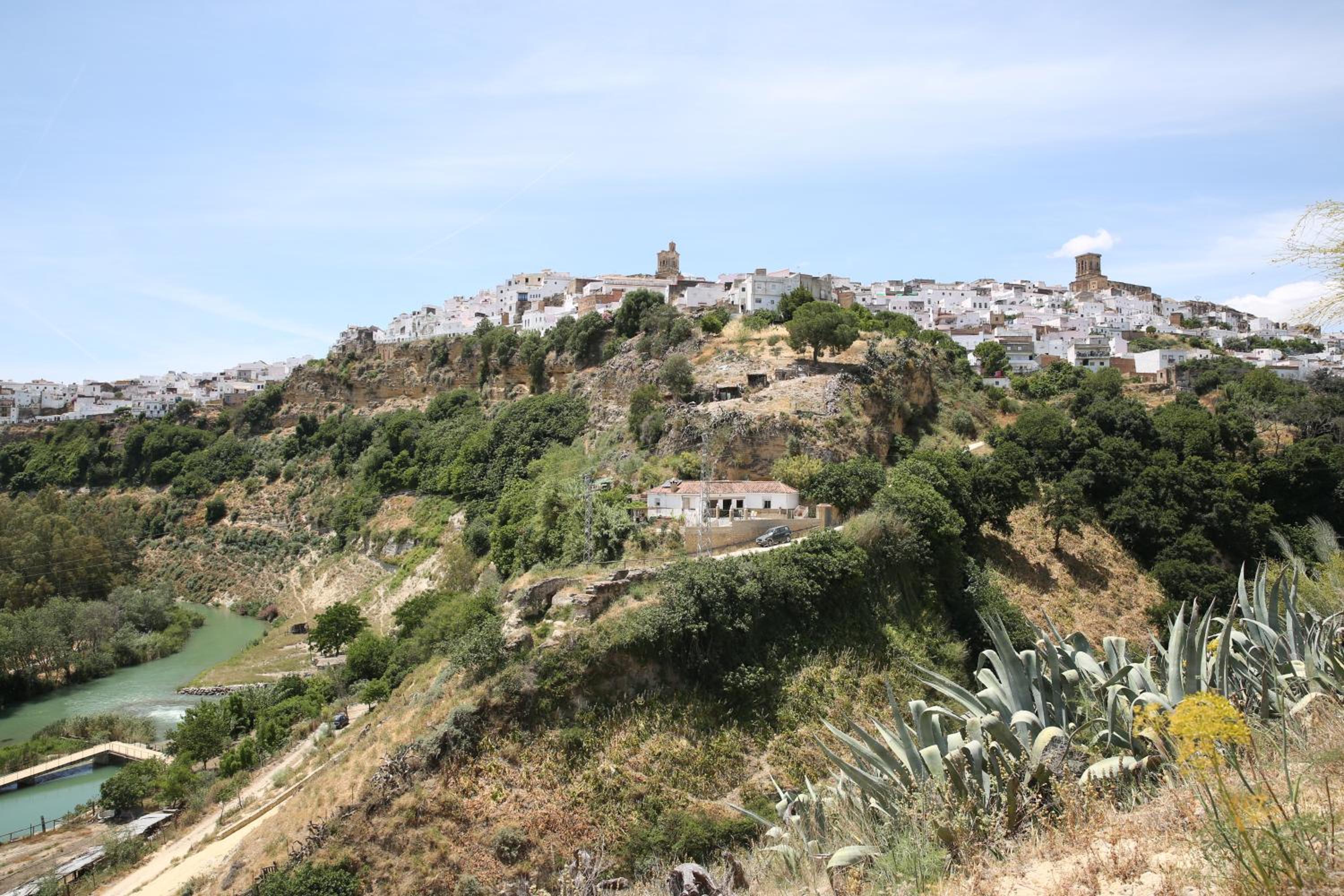 Photo 43