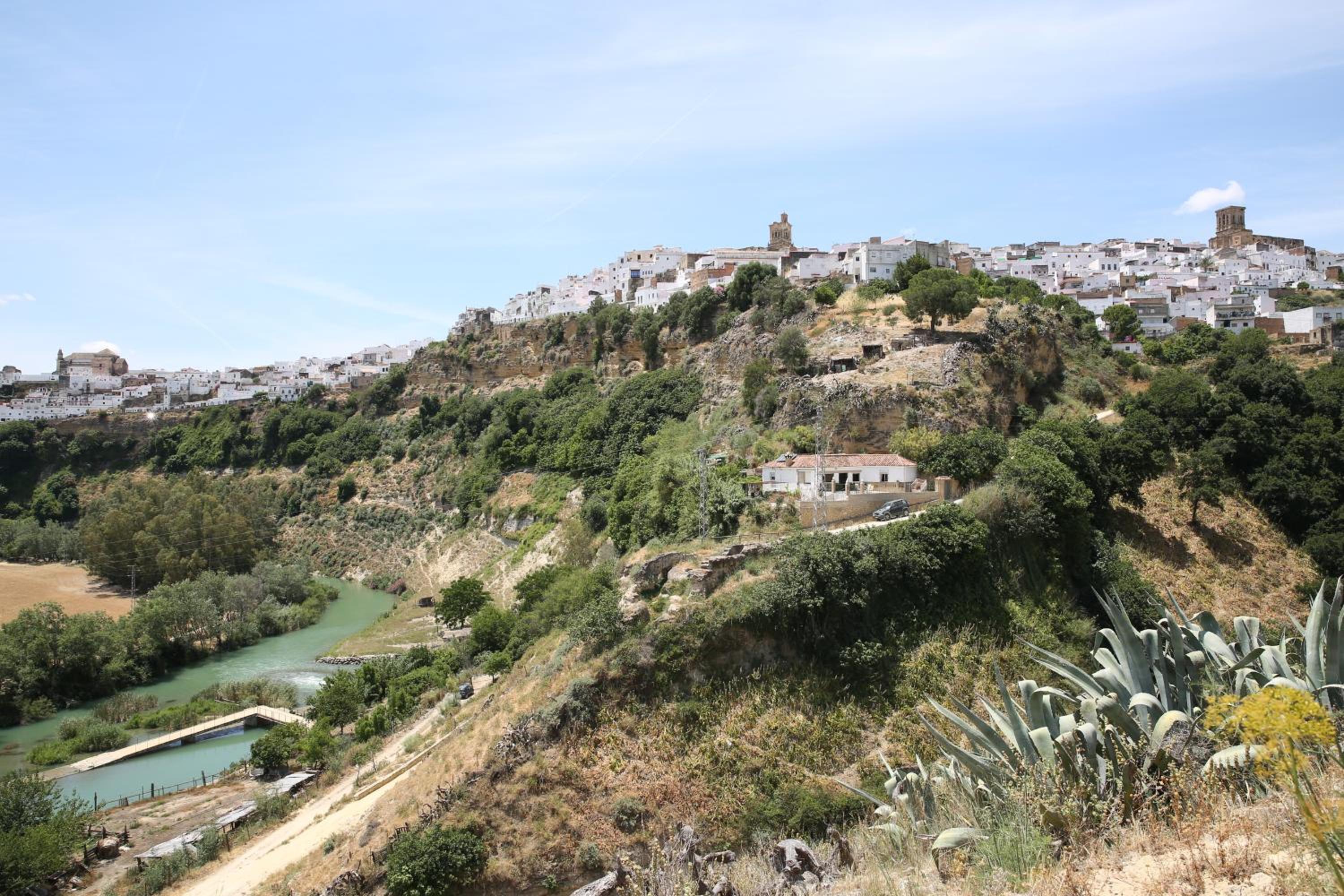 Photo 41