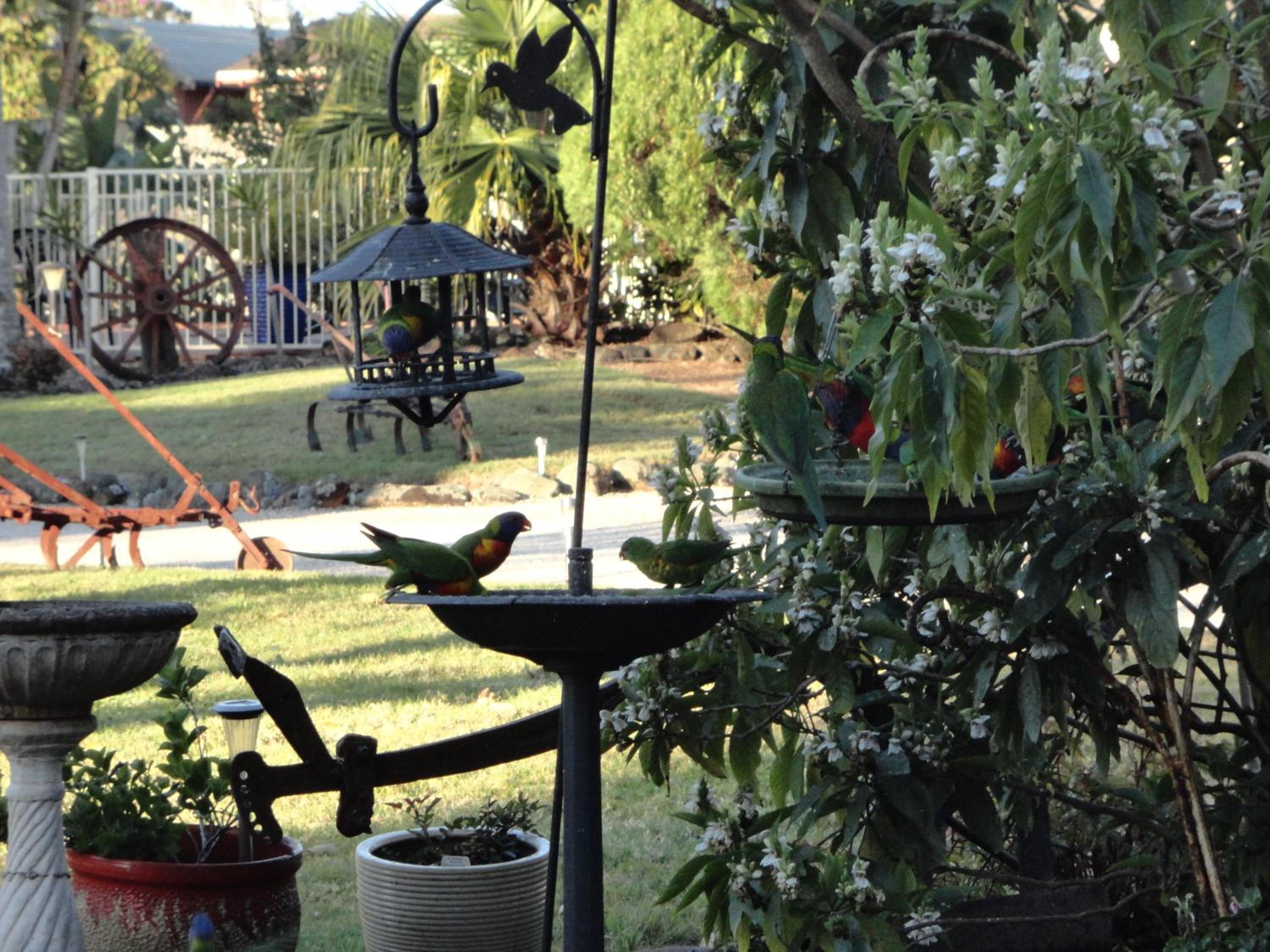 Alstonville Settlers Motel