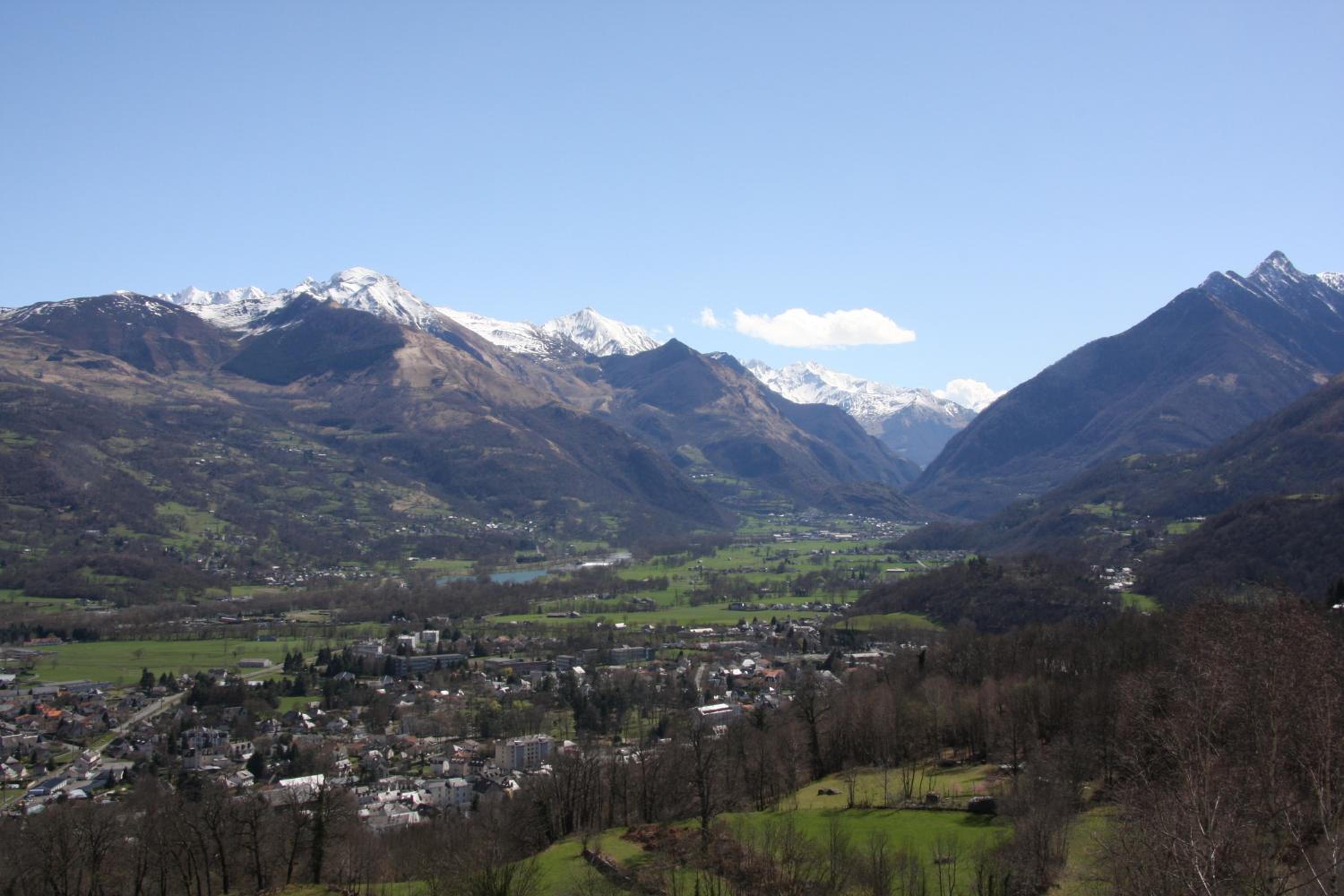 Dolwin view 4