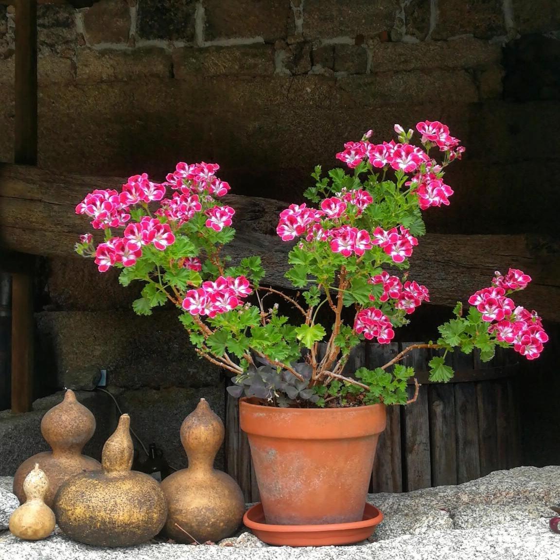Casa do Fundo - Sustainable & Ecotourism