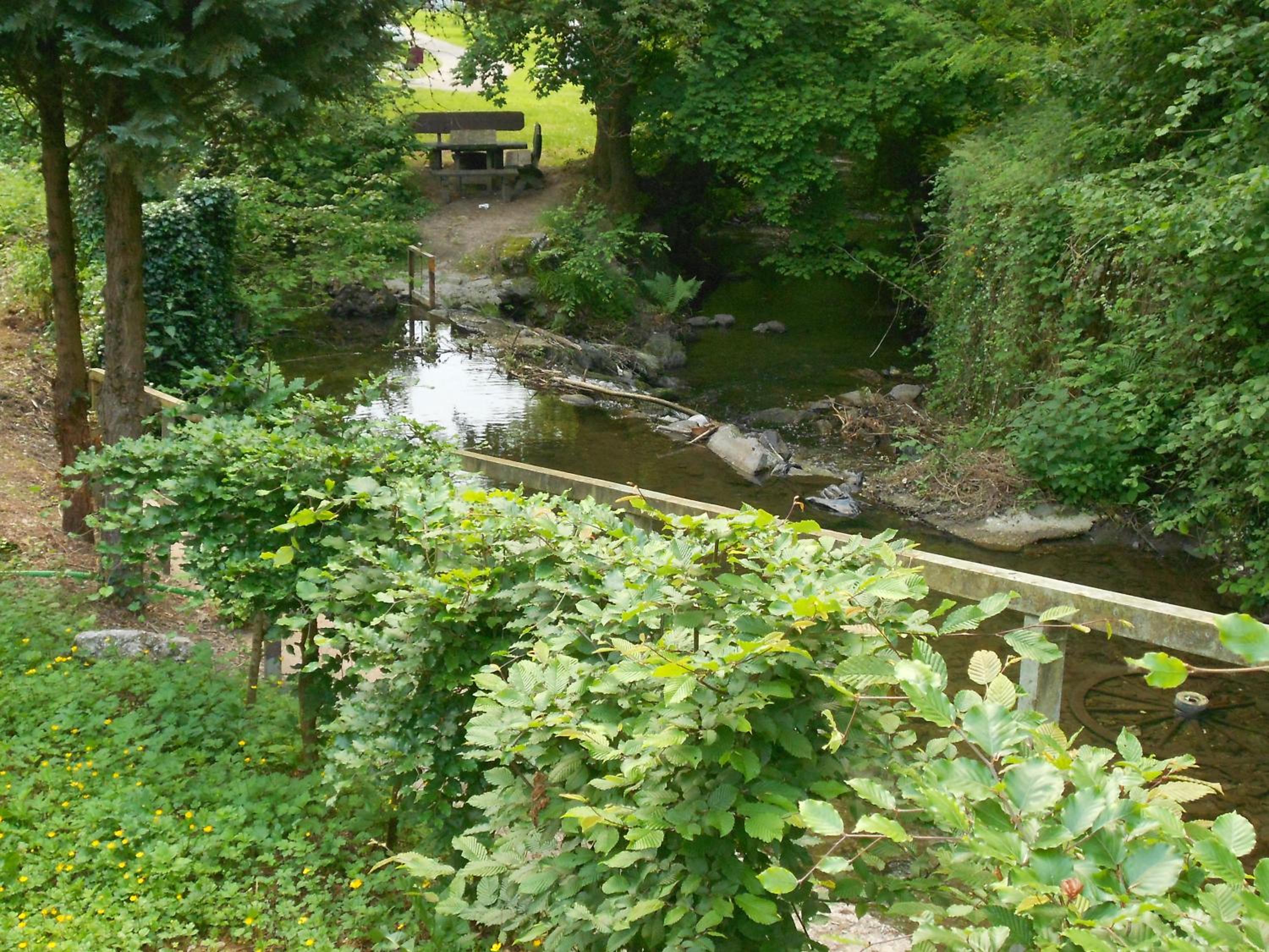 fewo amendert view 3