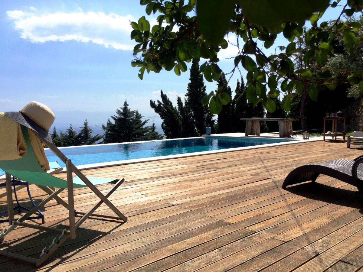 Art Luxury Resort Villa photo 5