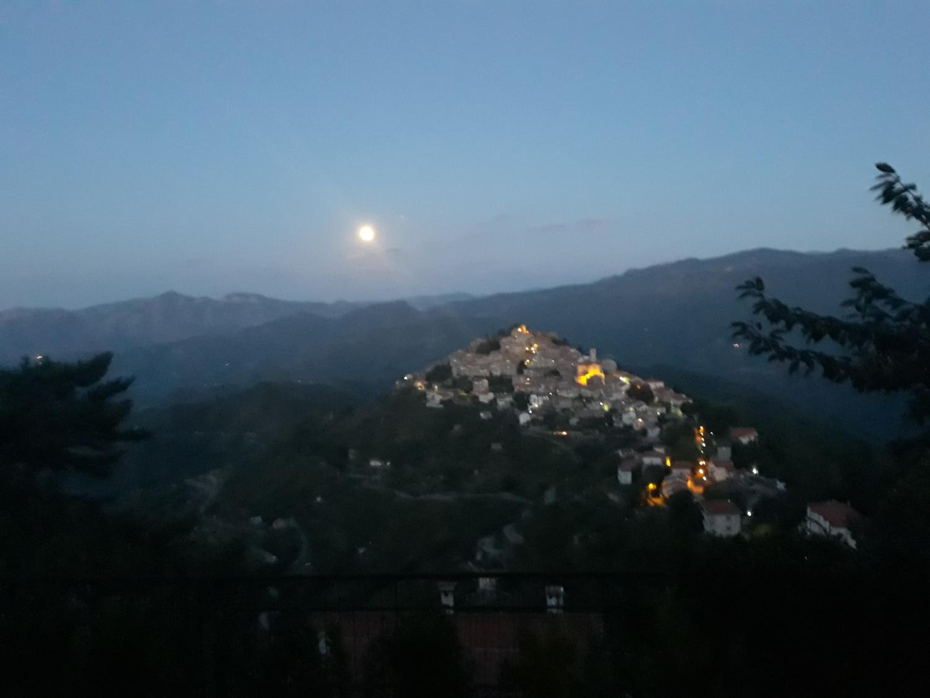 B&B Le Camelie del Bosco