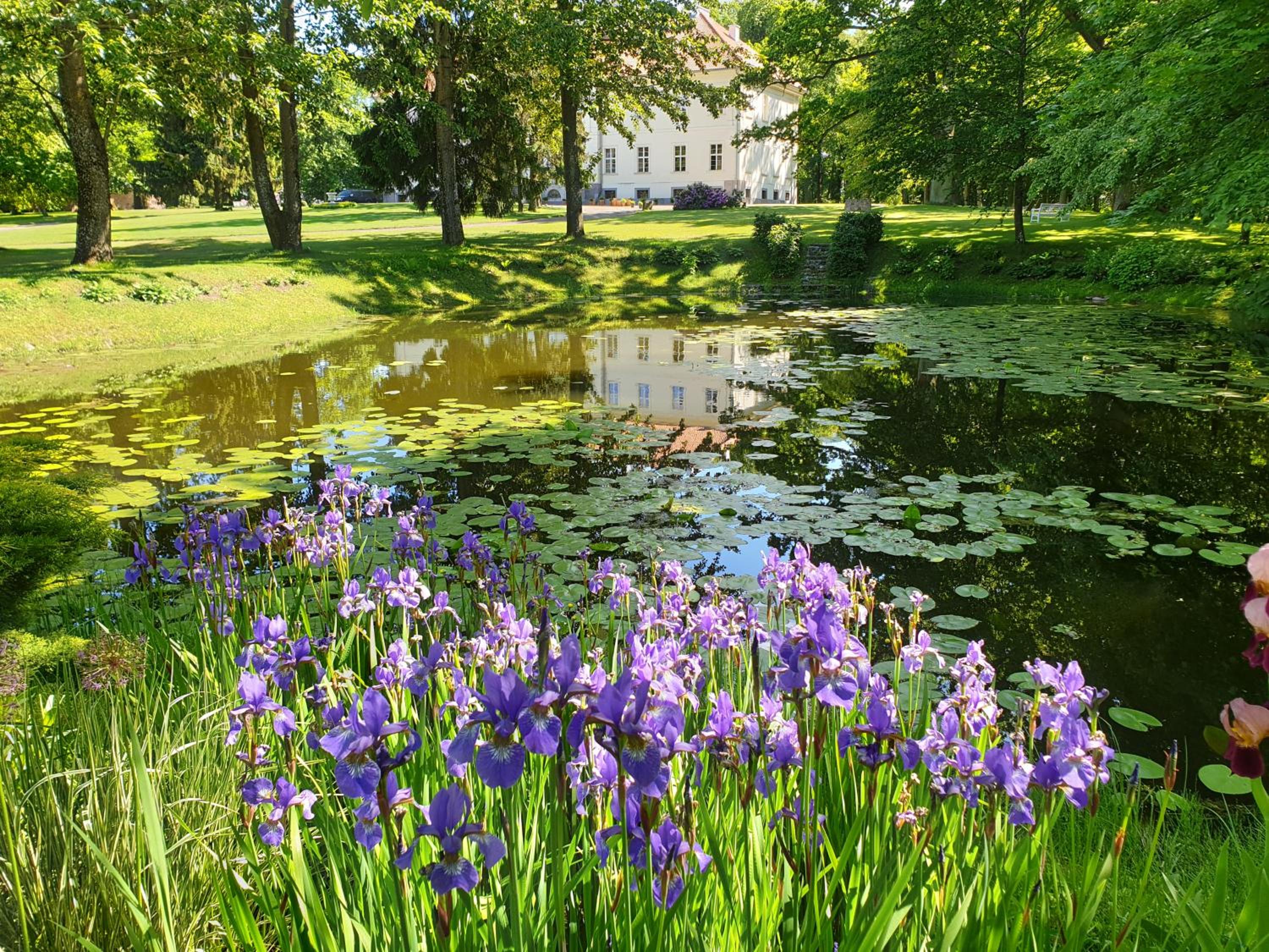 garden