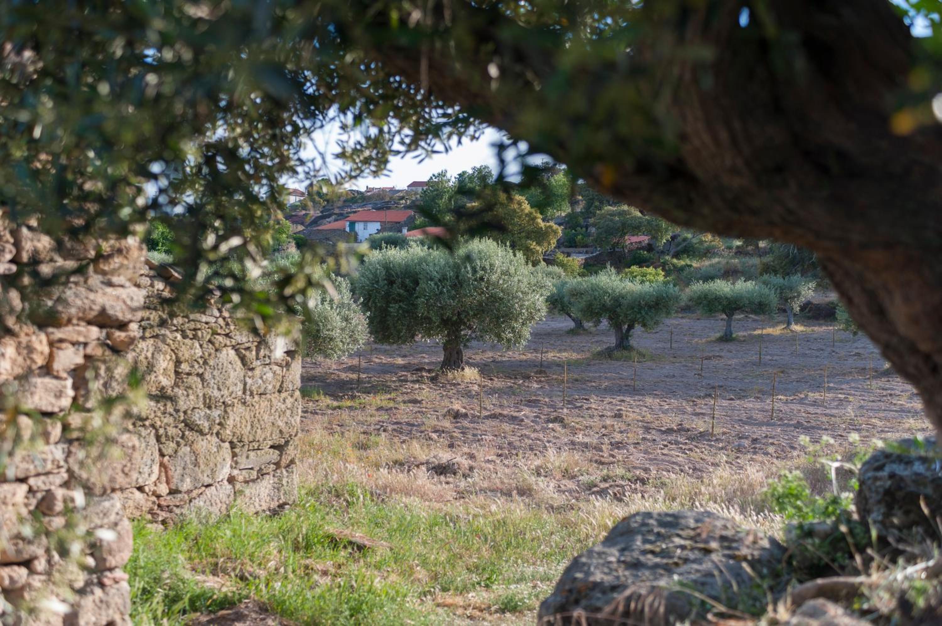 Cidadelhe Rupestre Turismo Rural view 5