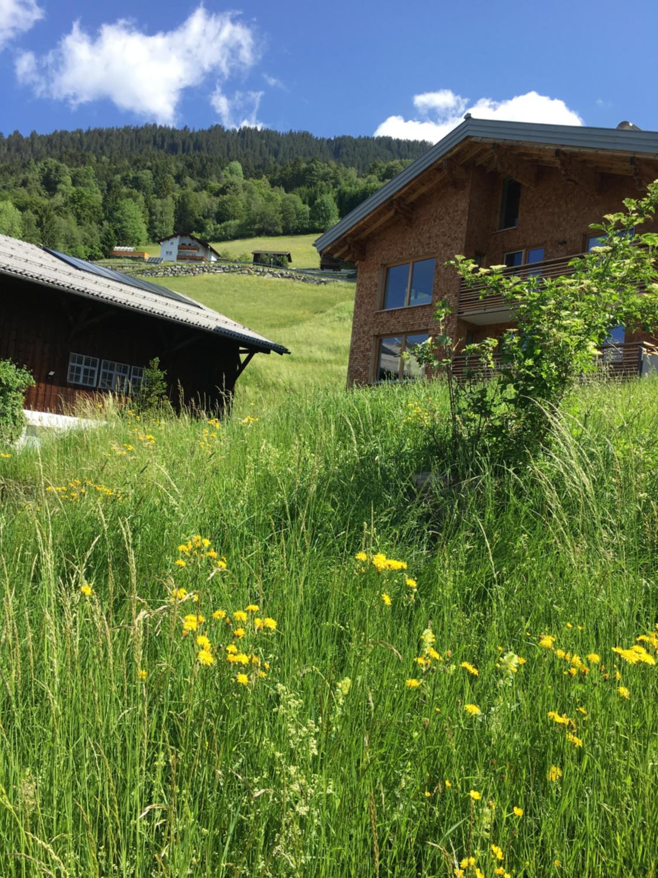 Kleines Paradies Montafon