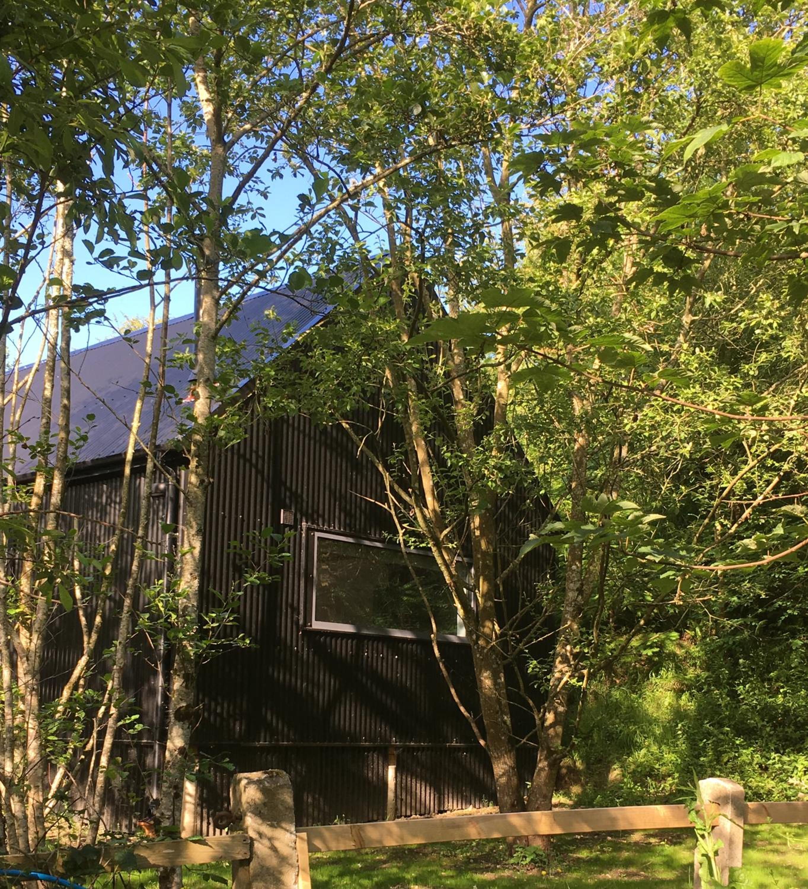 Alder Cabin view 4