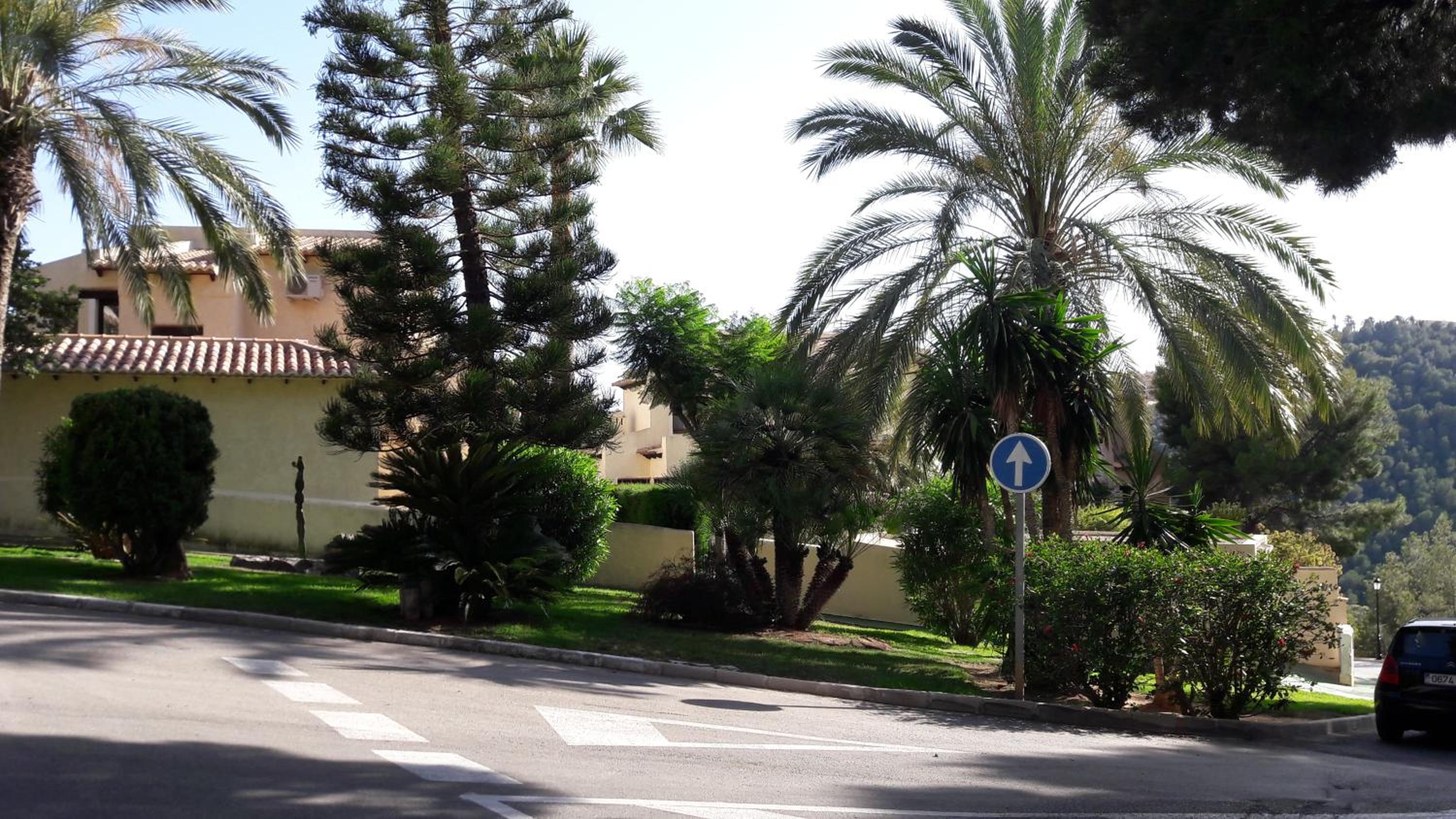 Photo 32