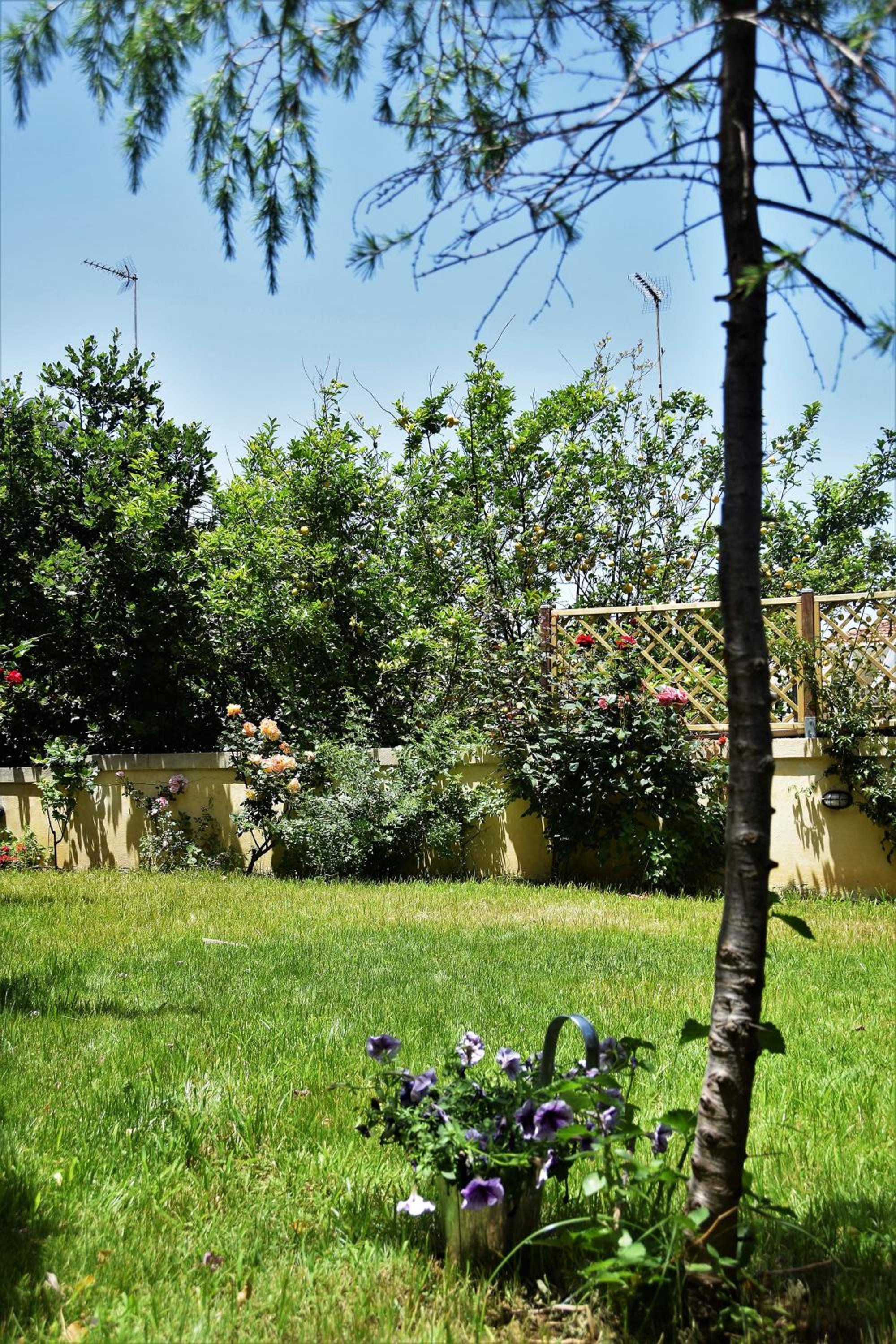 Avgi Garden House Chania with private entrance view 3