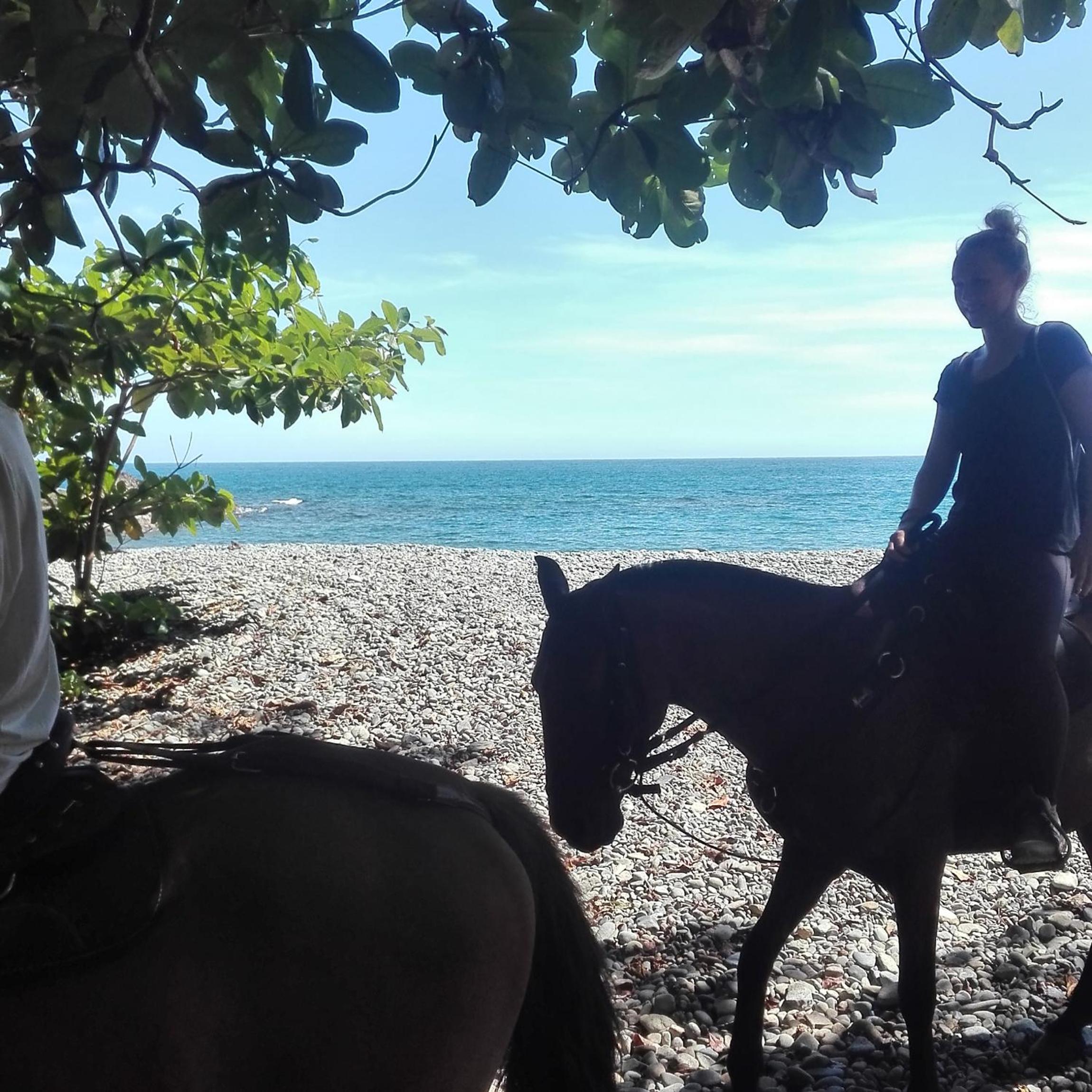 Finca El Regalo