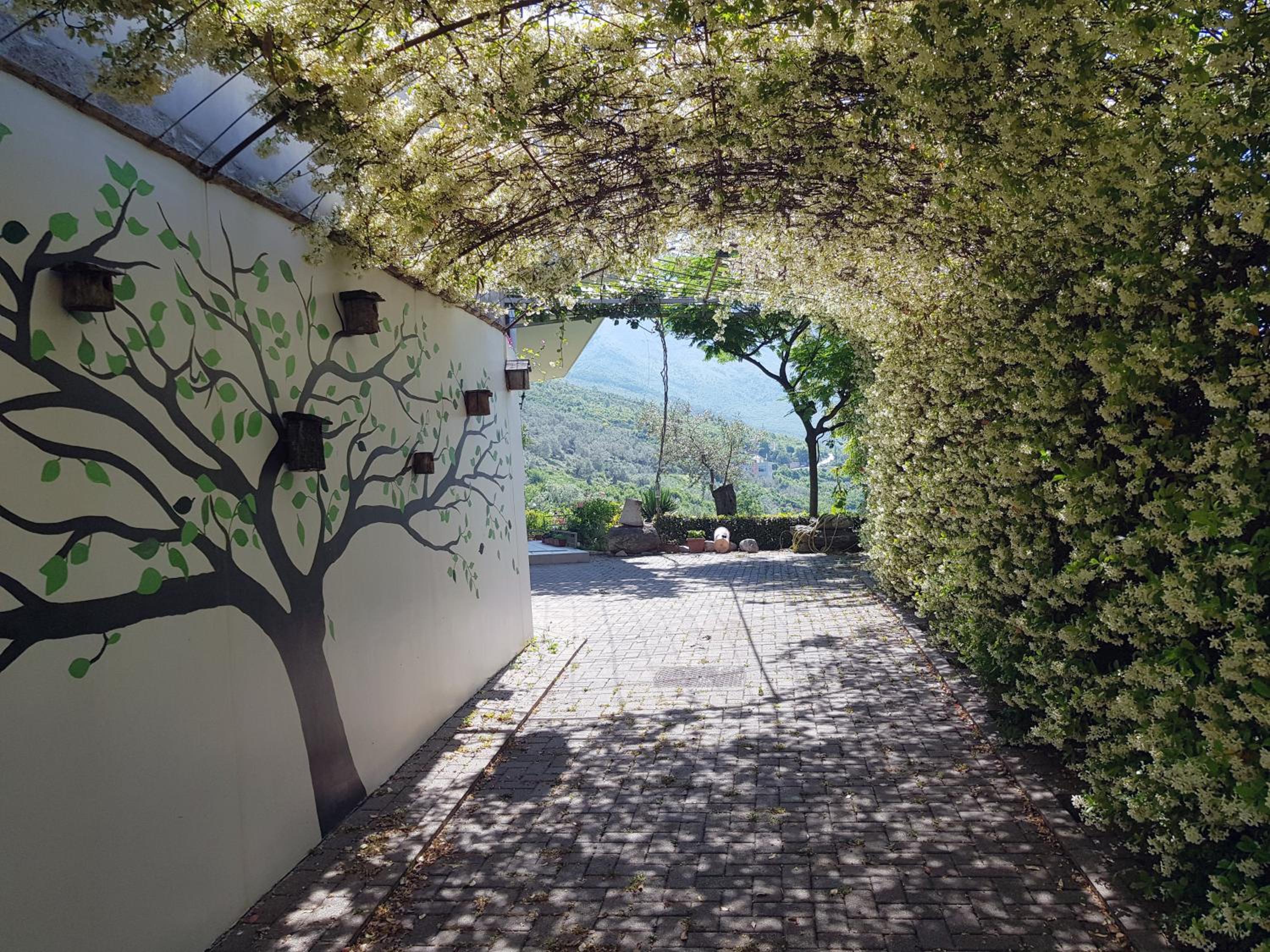 #IoniaHouse Surrel Villa photo 3