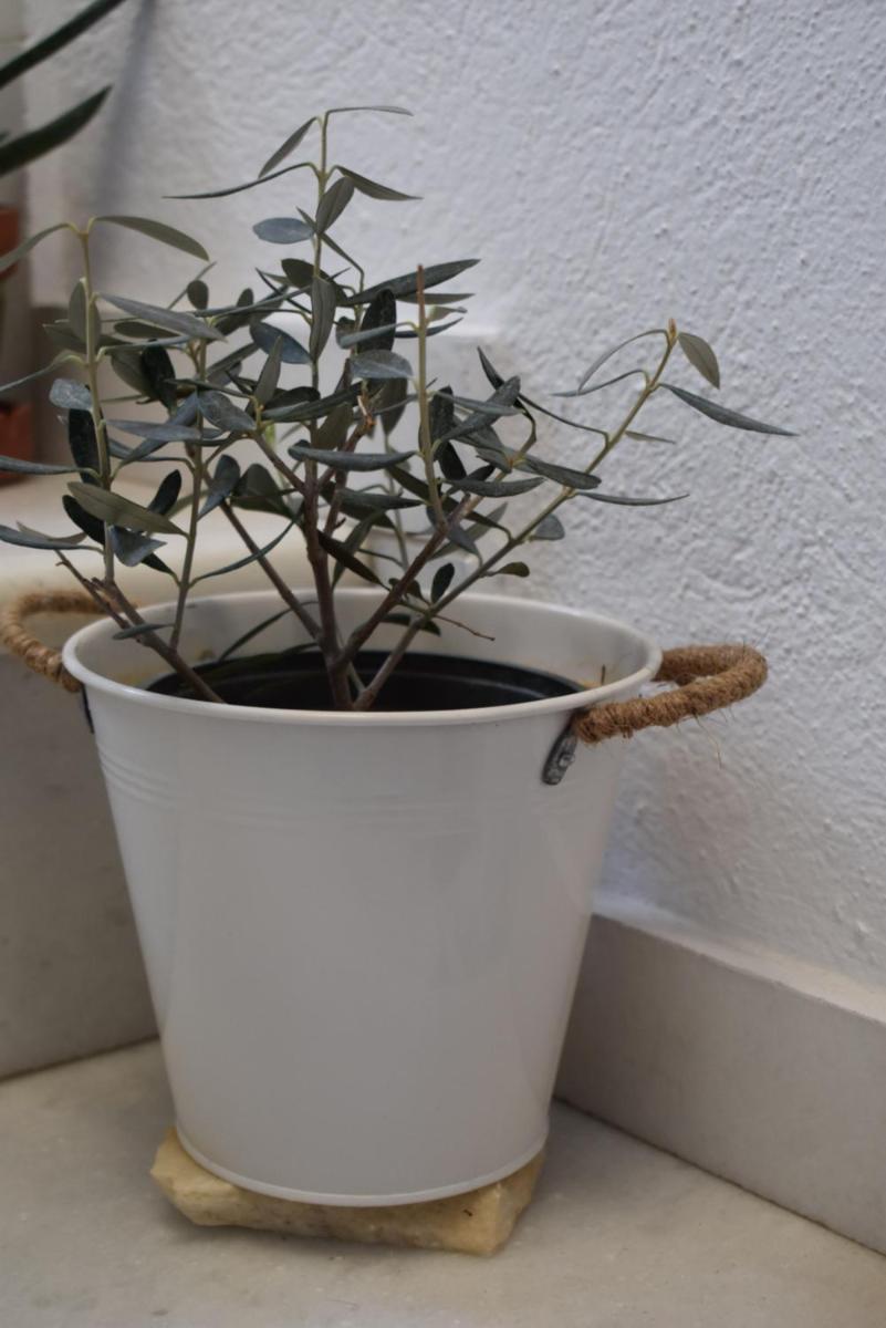 Photo 45