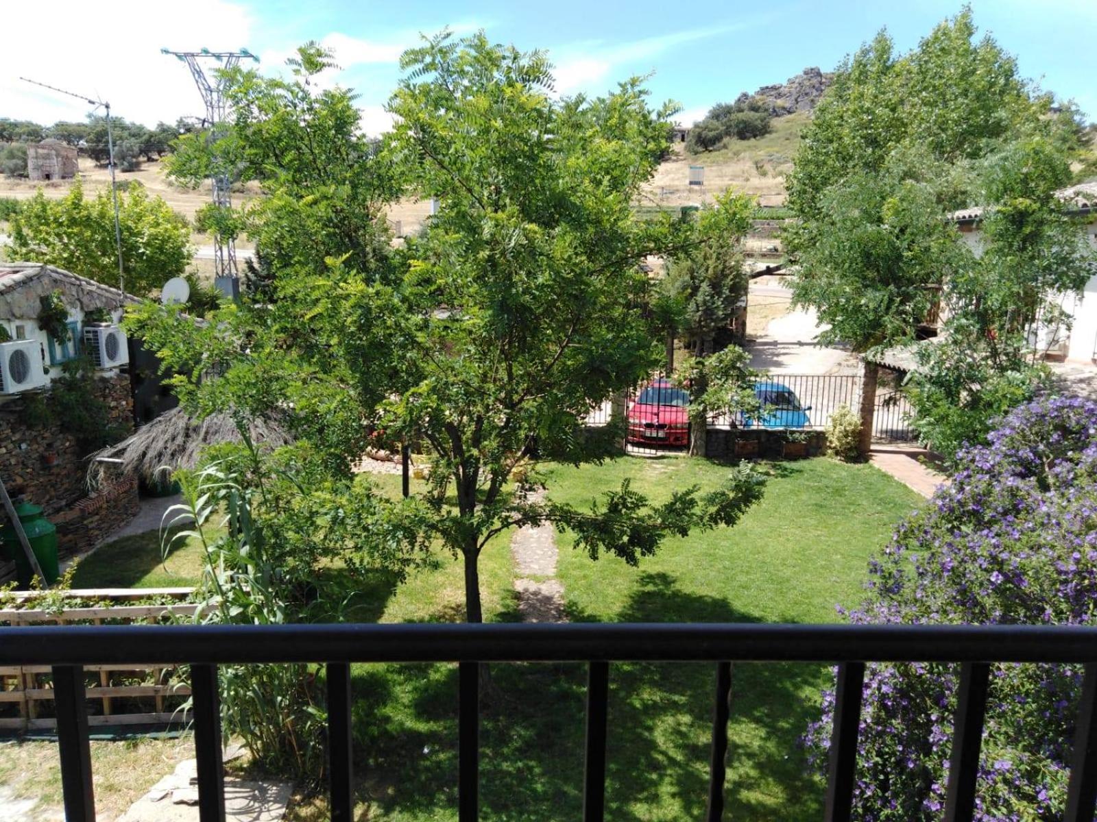 Photo 21