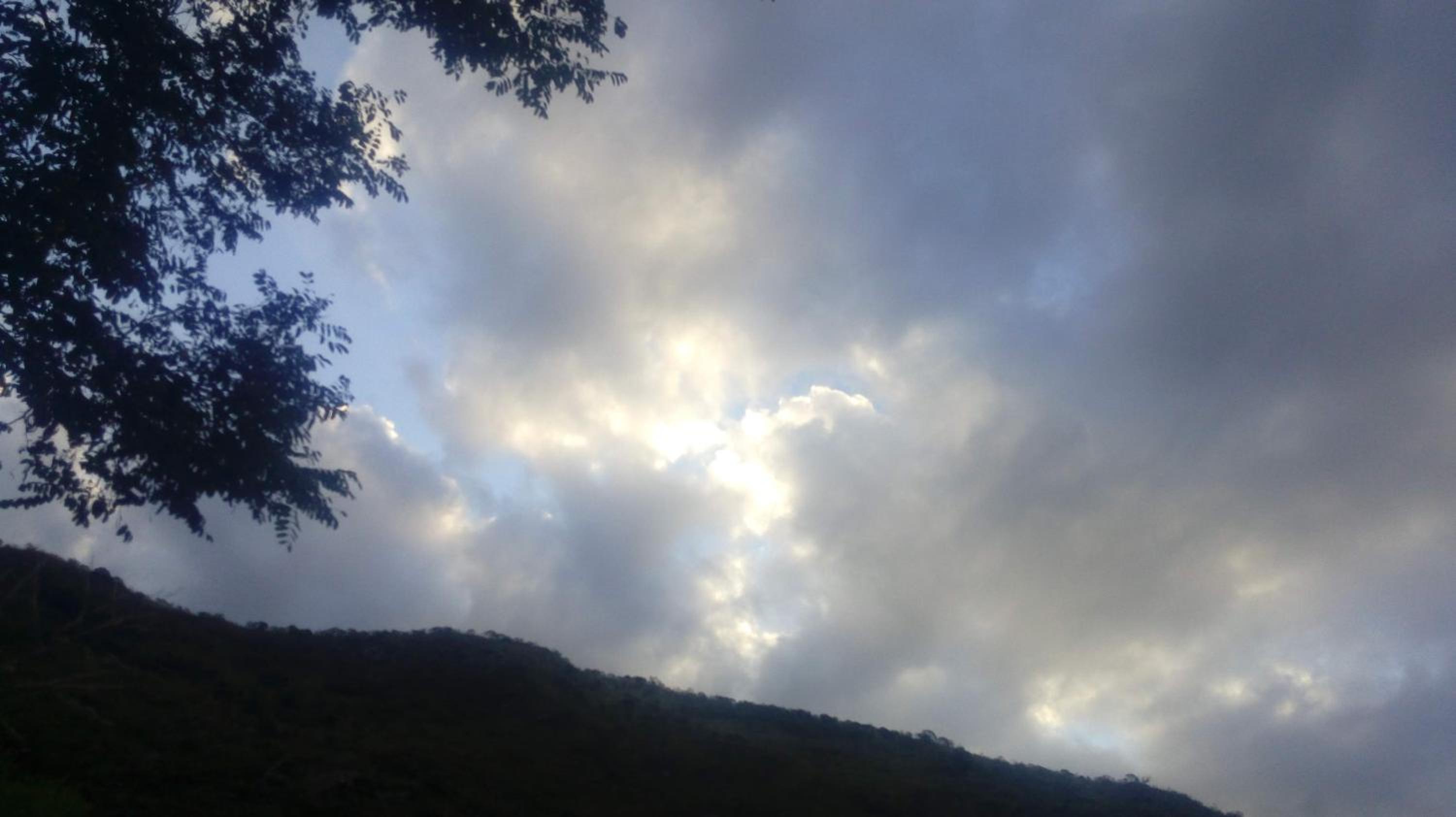 Apart Las Palmeras Corcovado