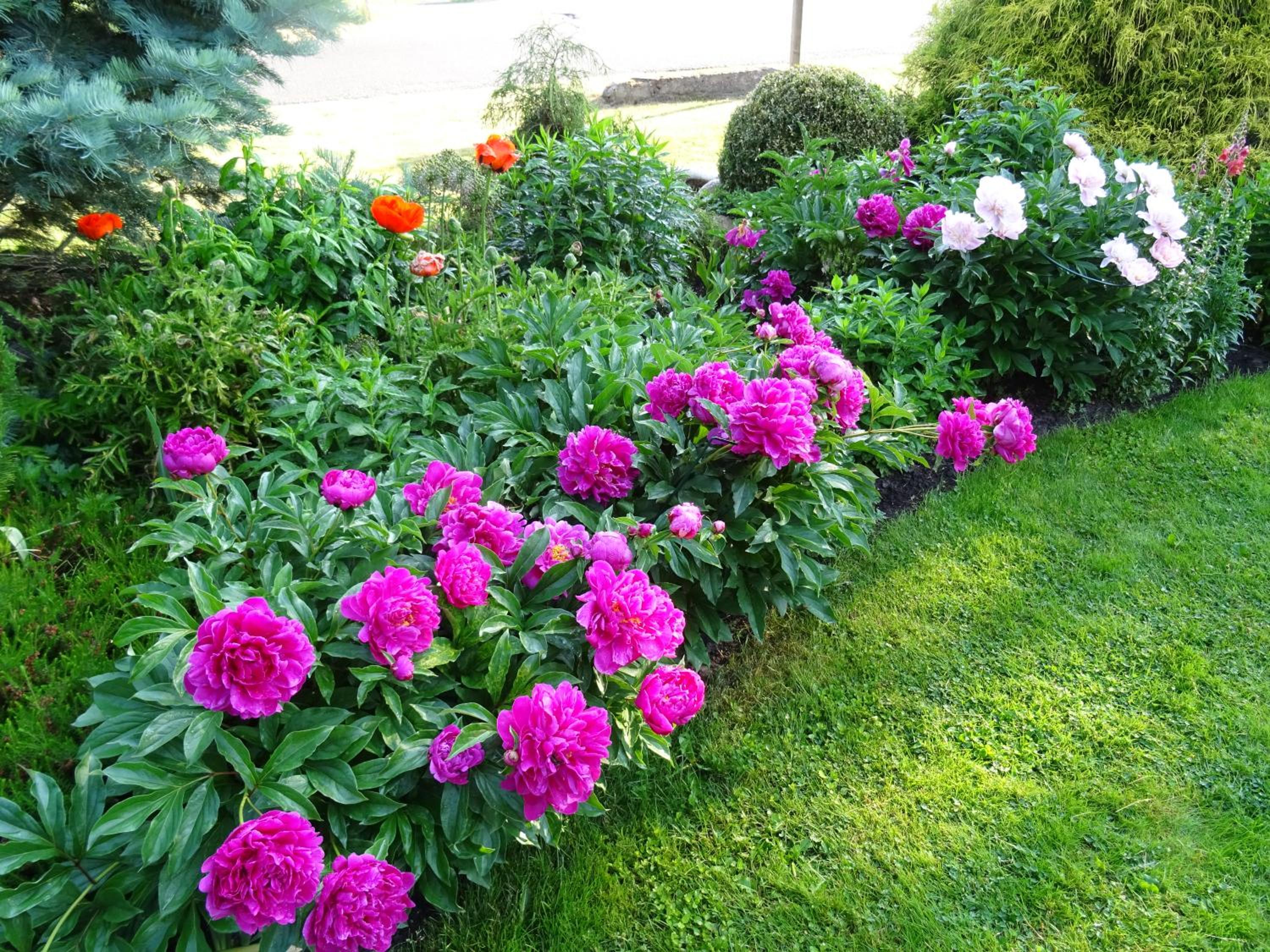 Photo 40