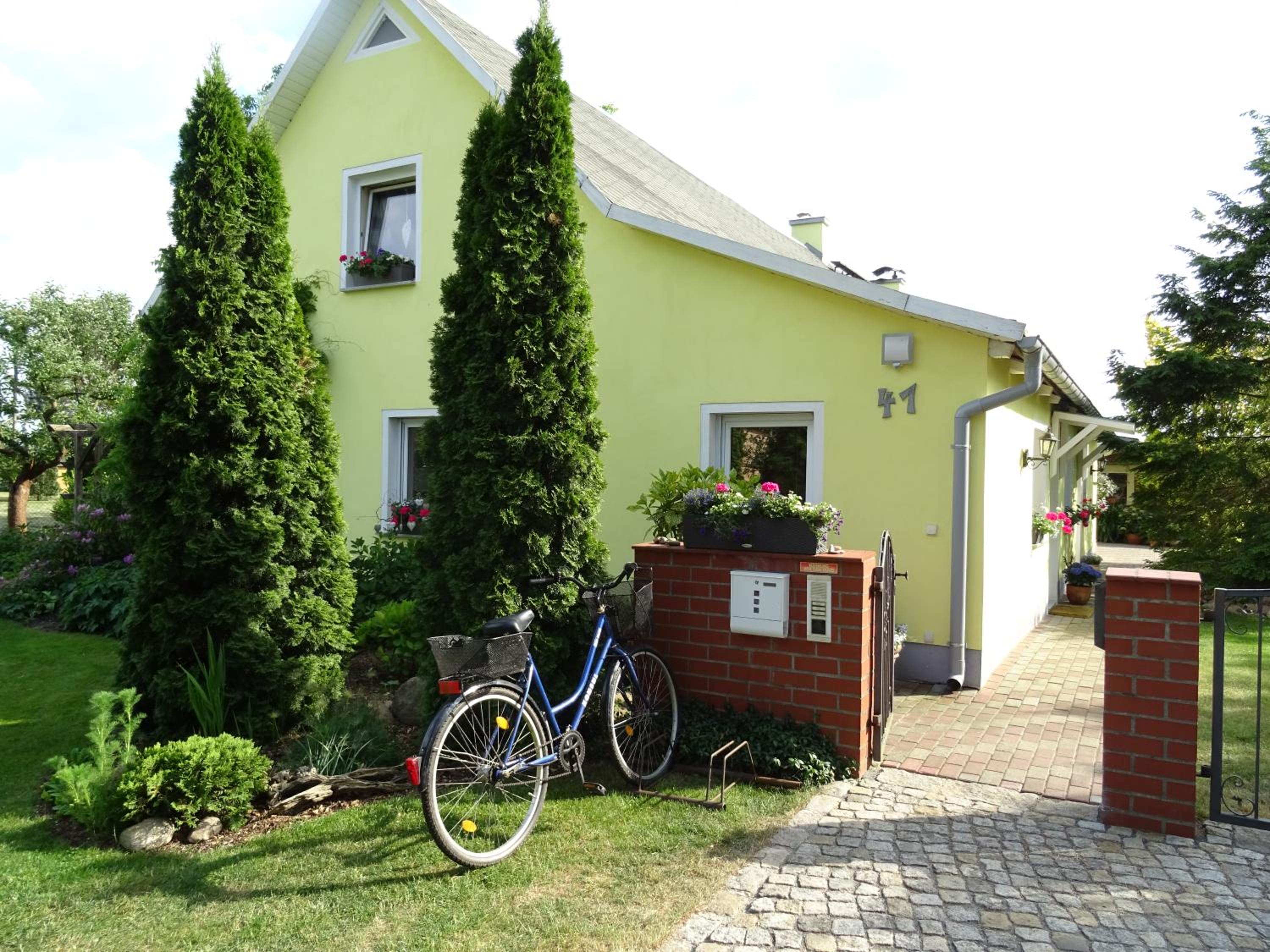 Photo 41