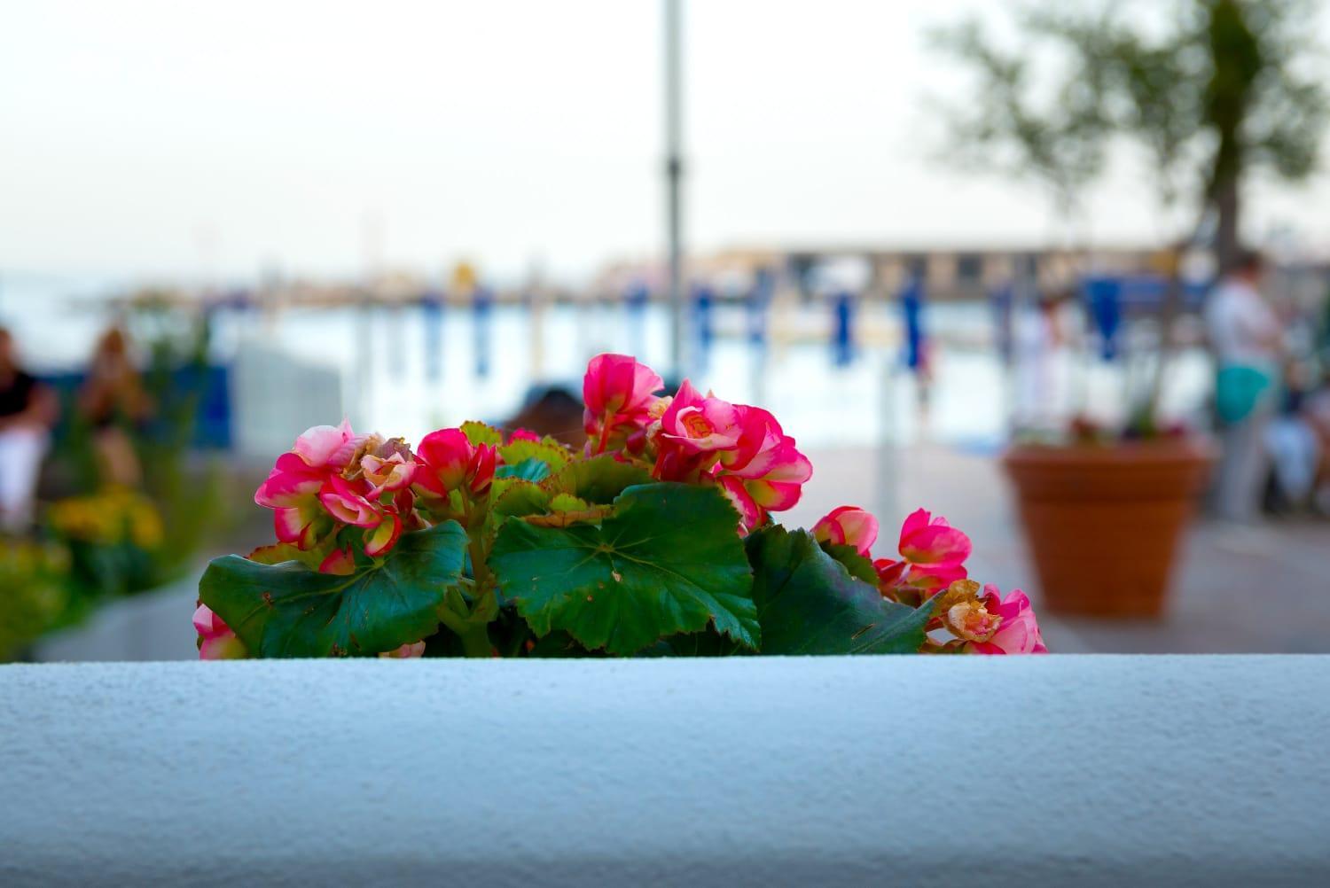 MARINELLA CASA VACANZE view 2