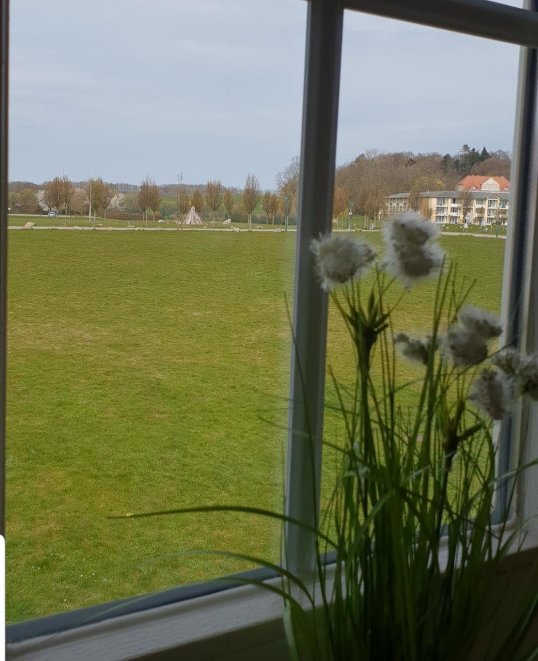 Ferienapartment Wiese & Meer auf Rügen