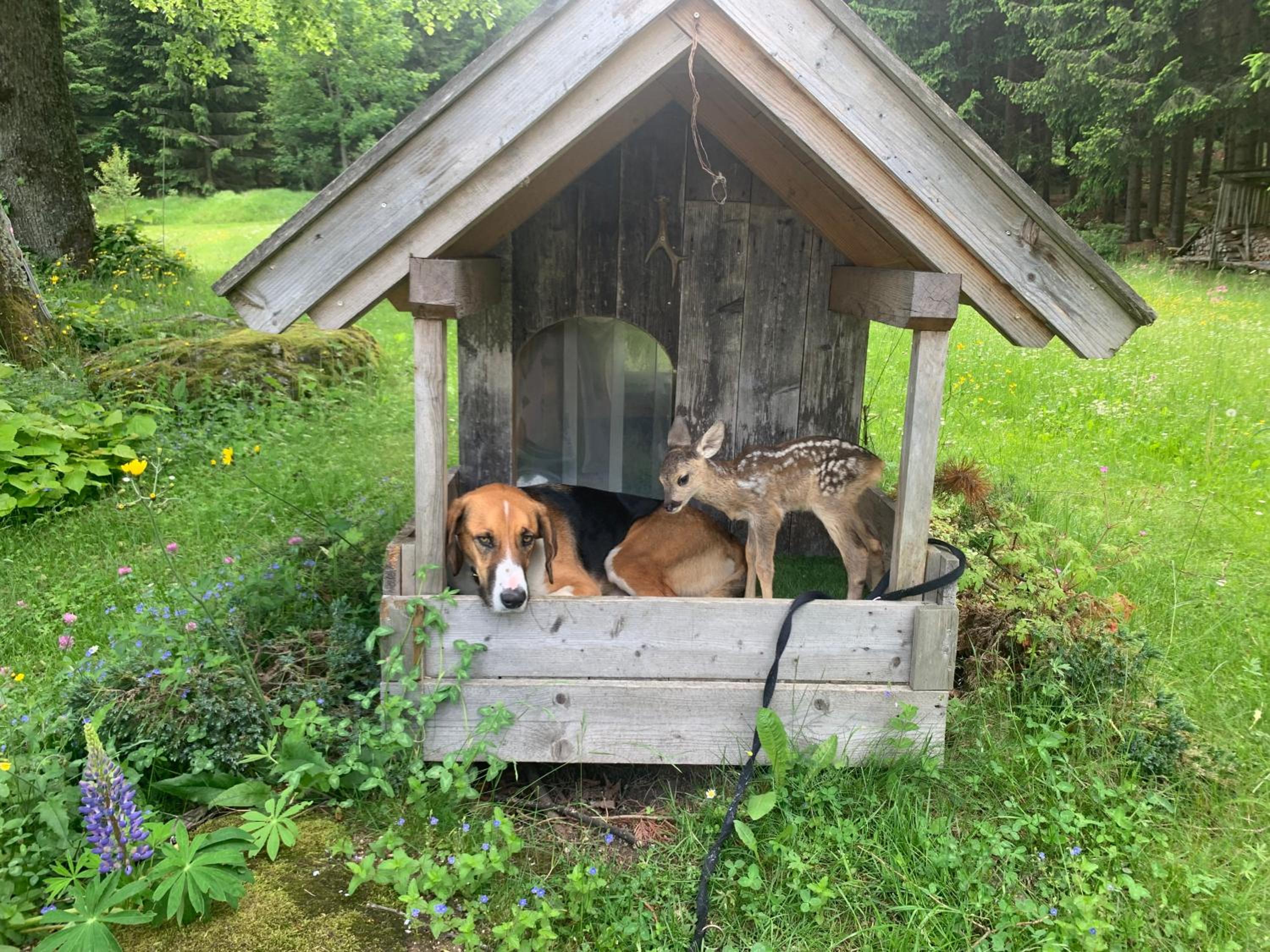 Itha’s secret escape