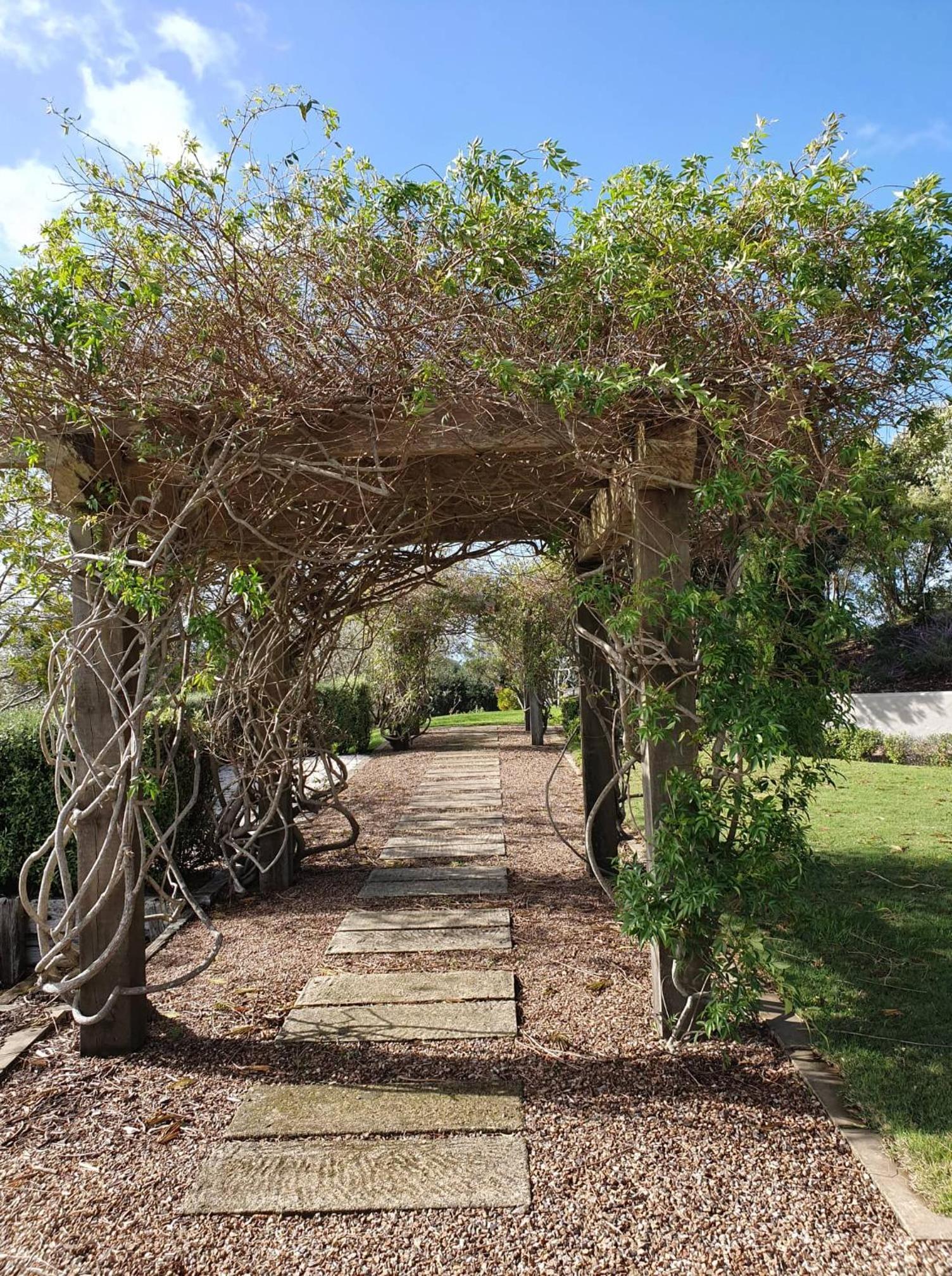 Cable Bay Luxury Villa view 5