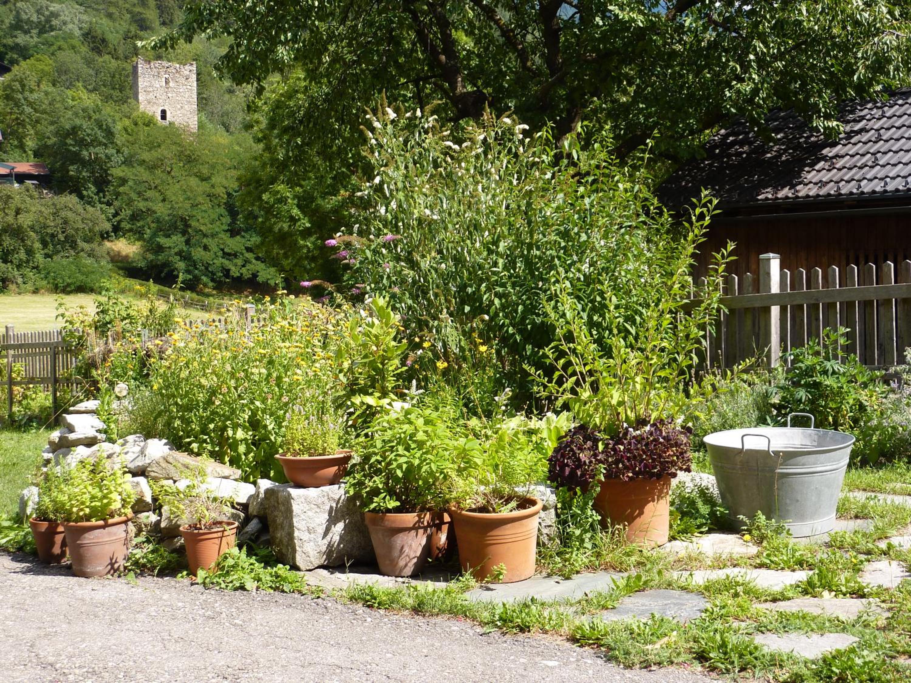 Gutschehof