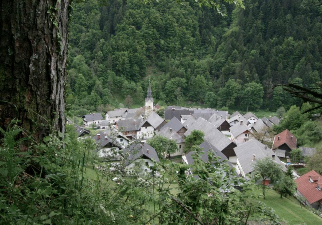 Photo 22
