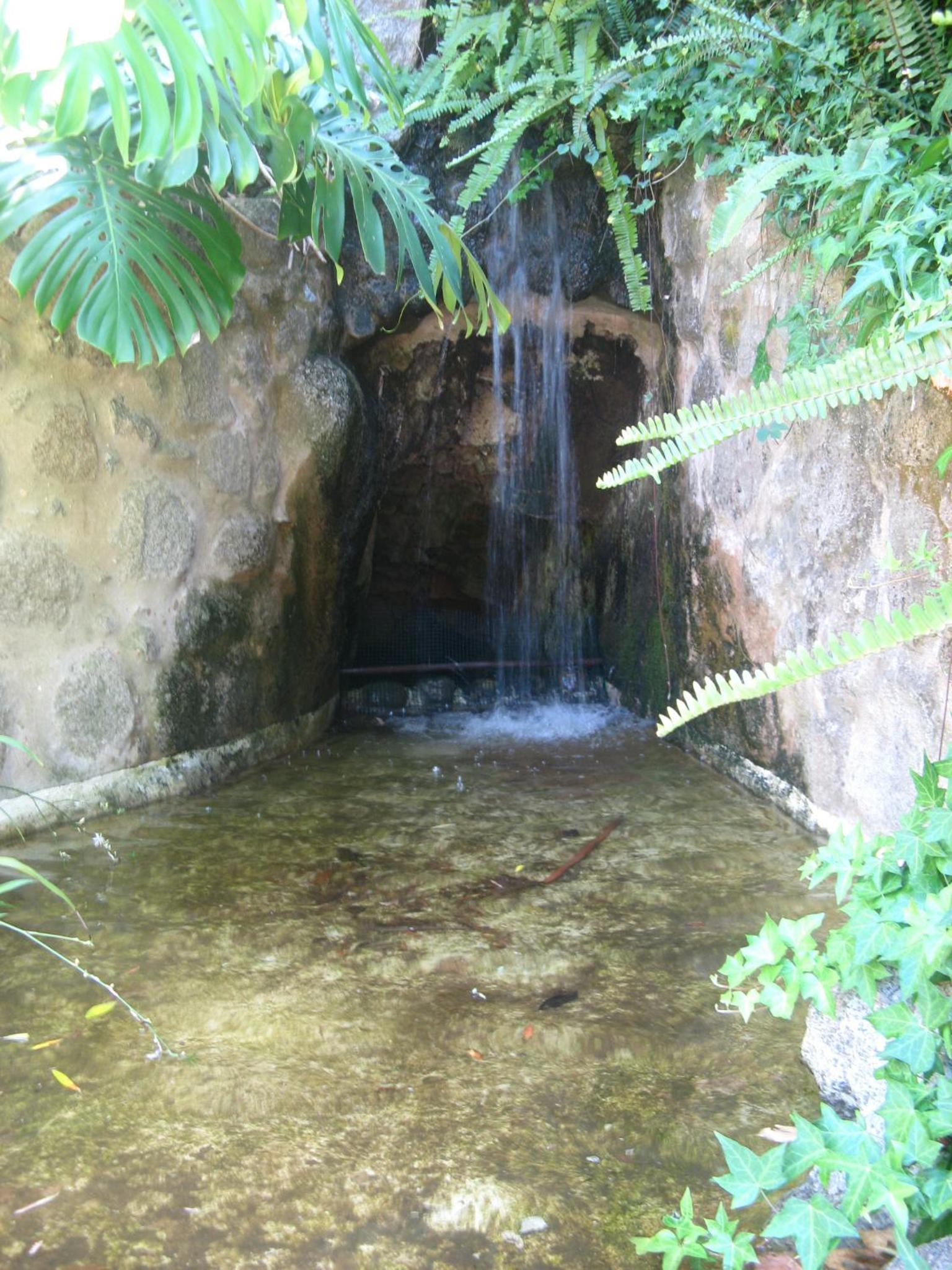 Photo 30