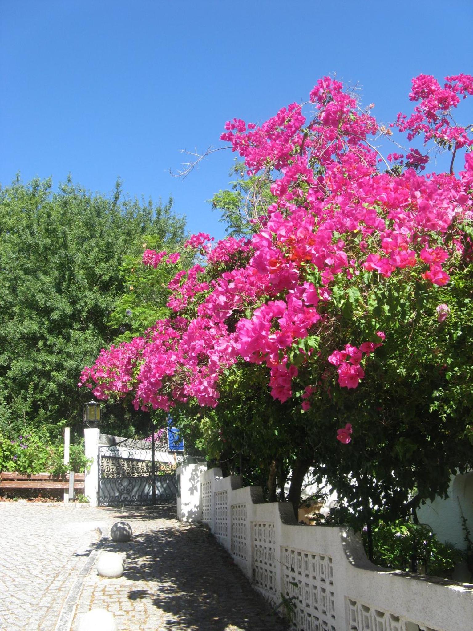 Photo 27