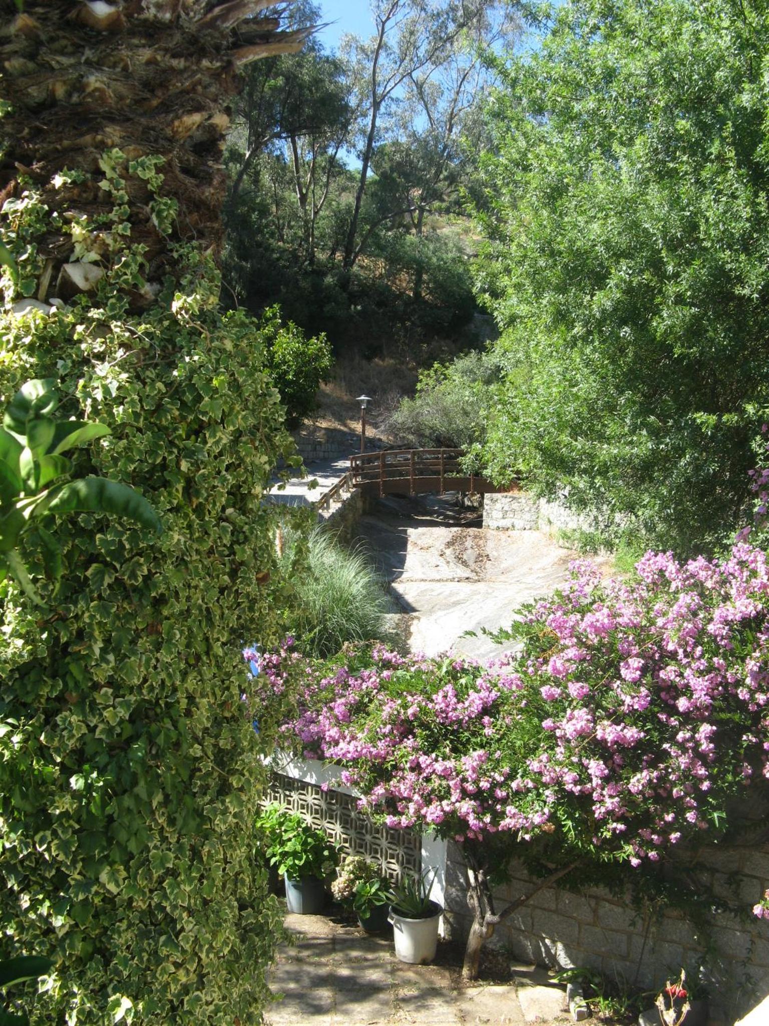 Photo 36