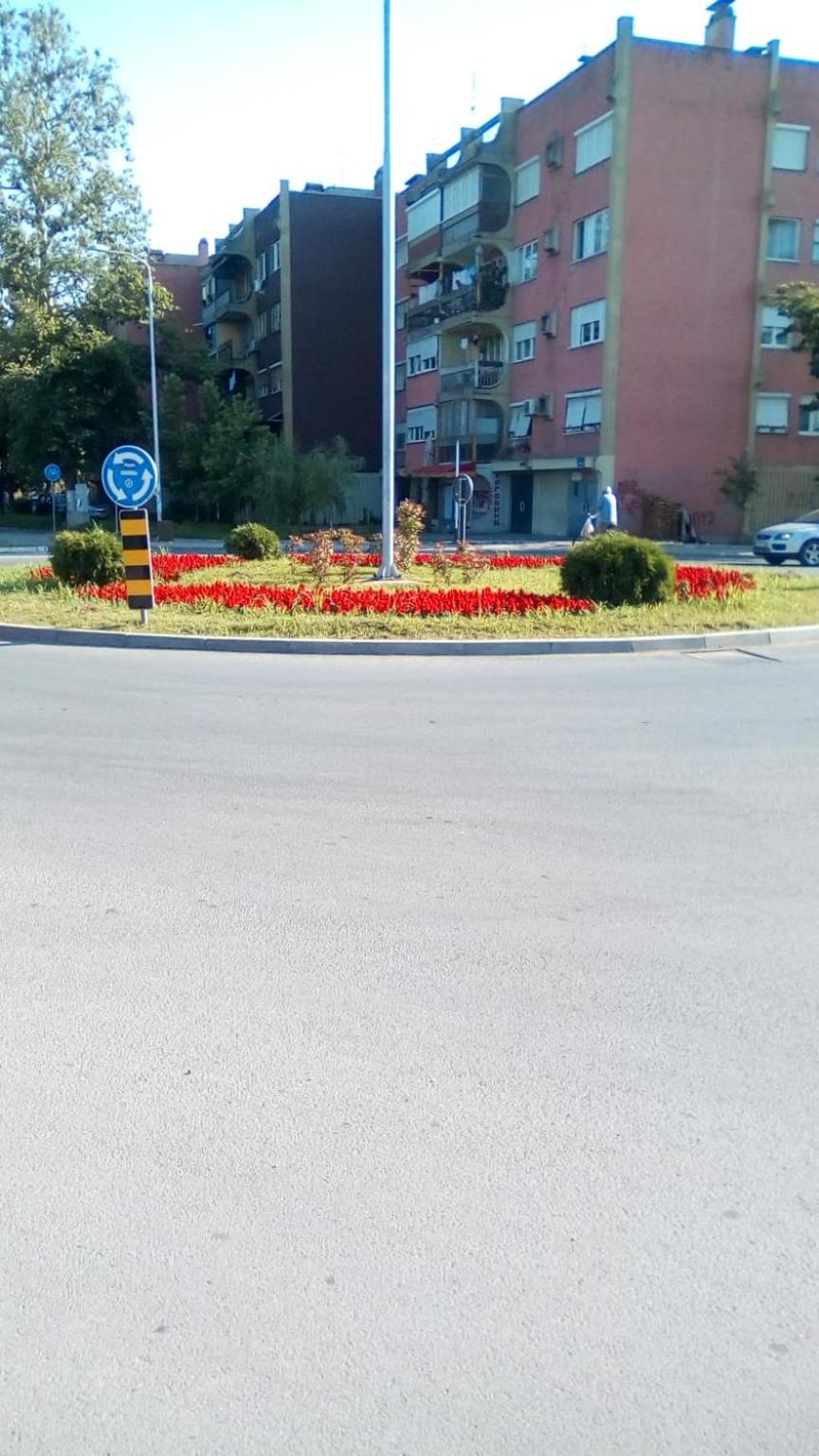 Apartmani Spasic, photo 14