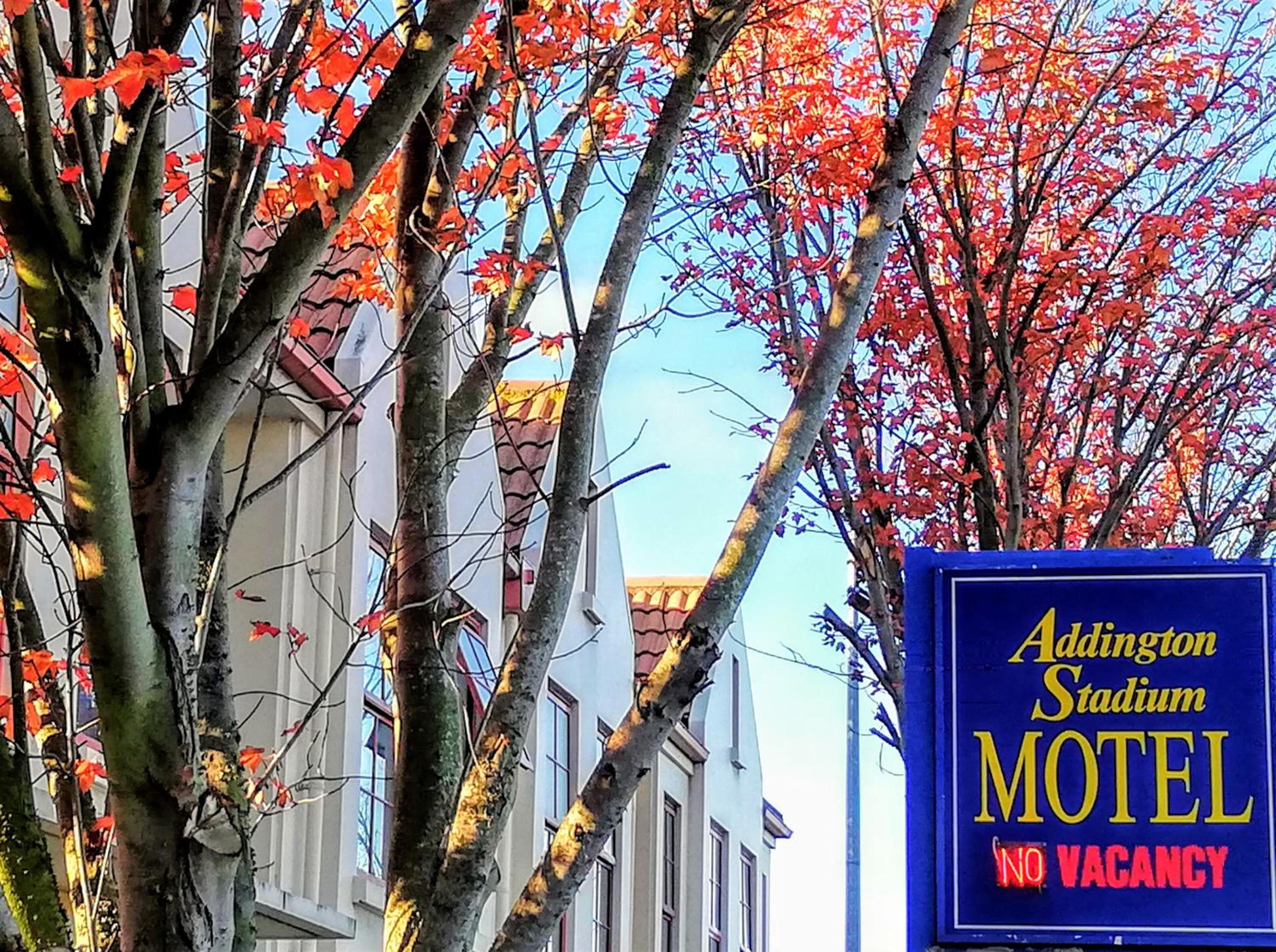 Addington Stadium Motel - Image 1