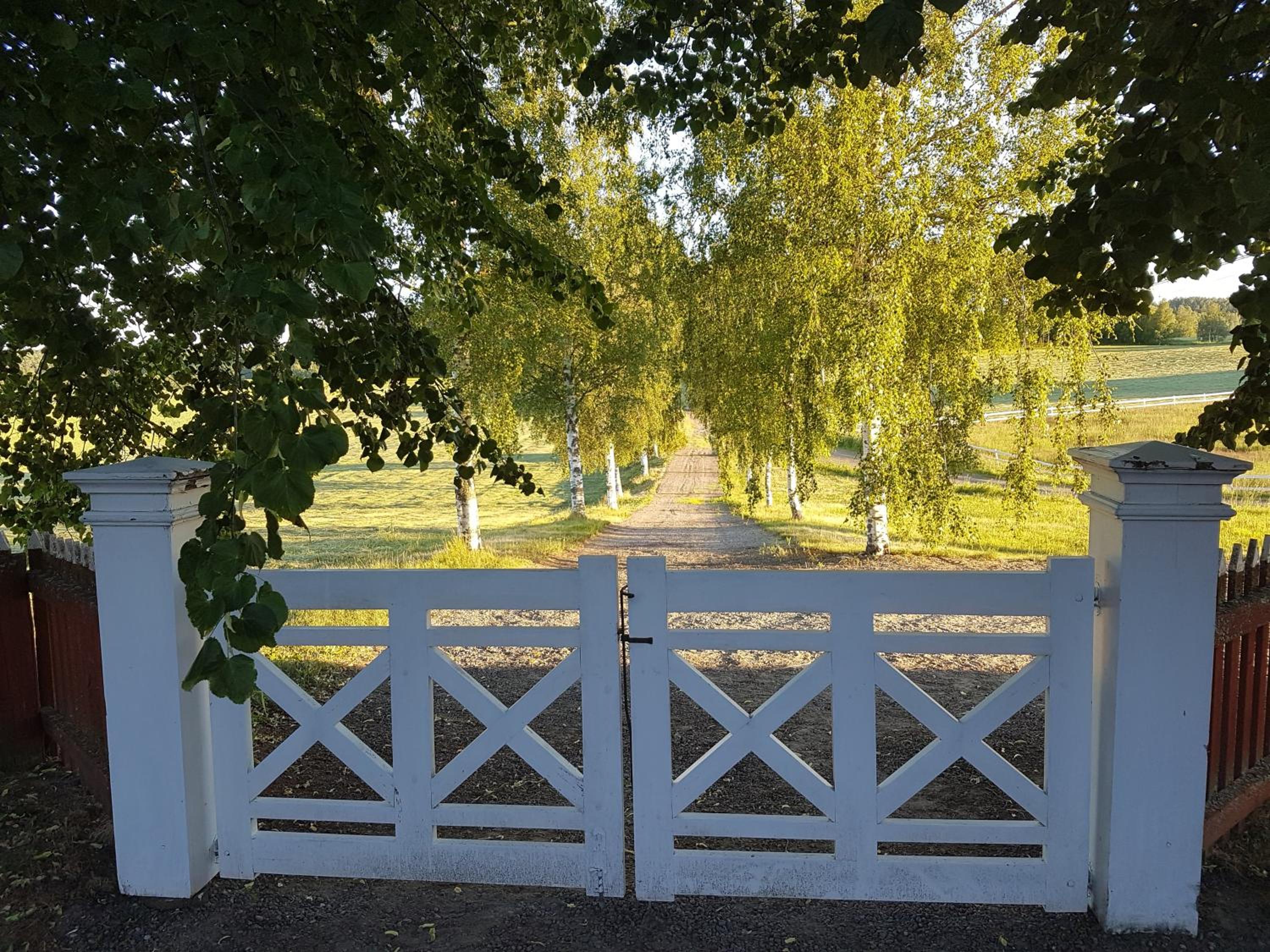 Hofra Bed & Breakfast view 3